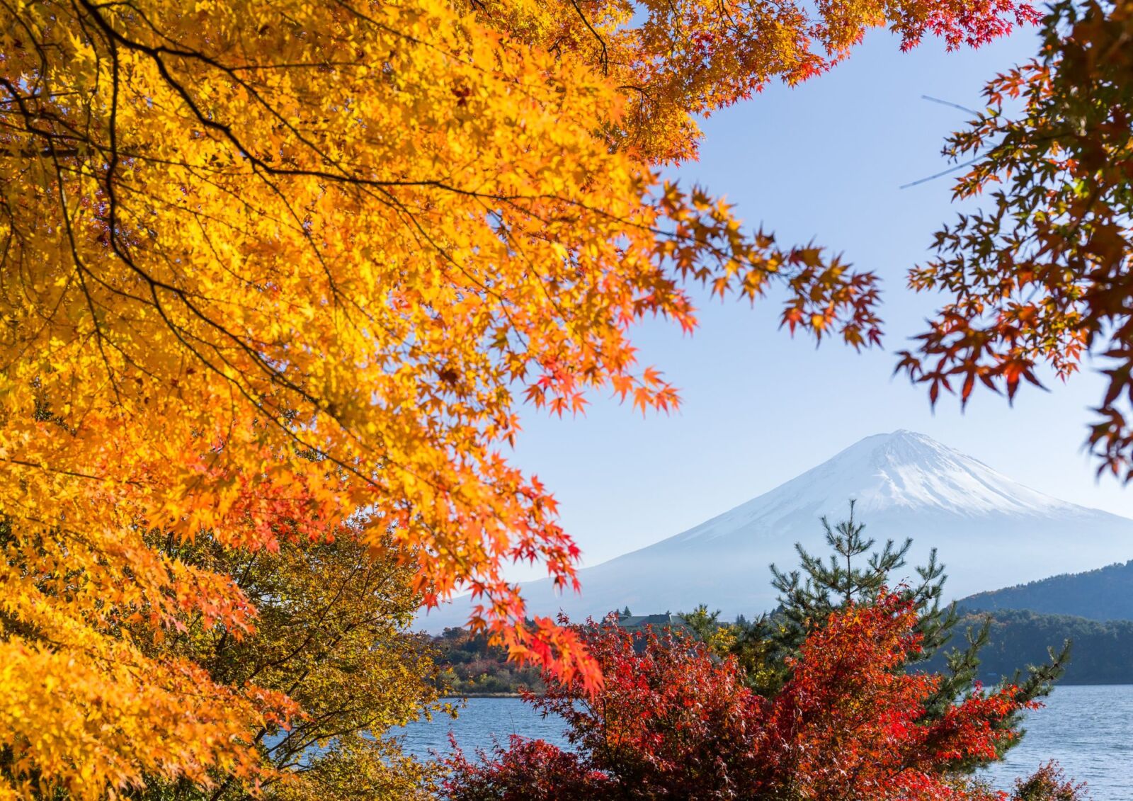 Japan in November 2025