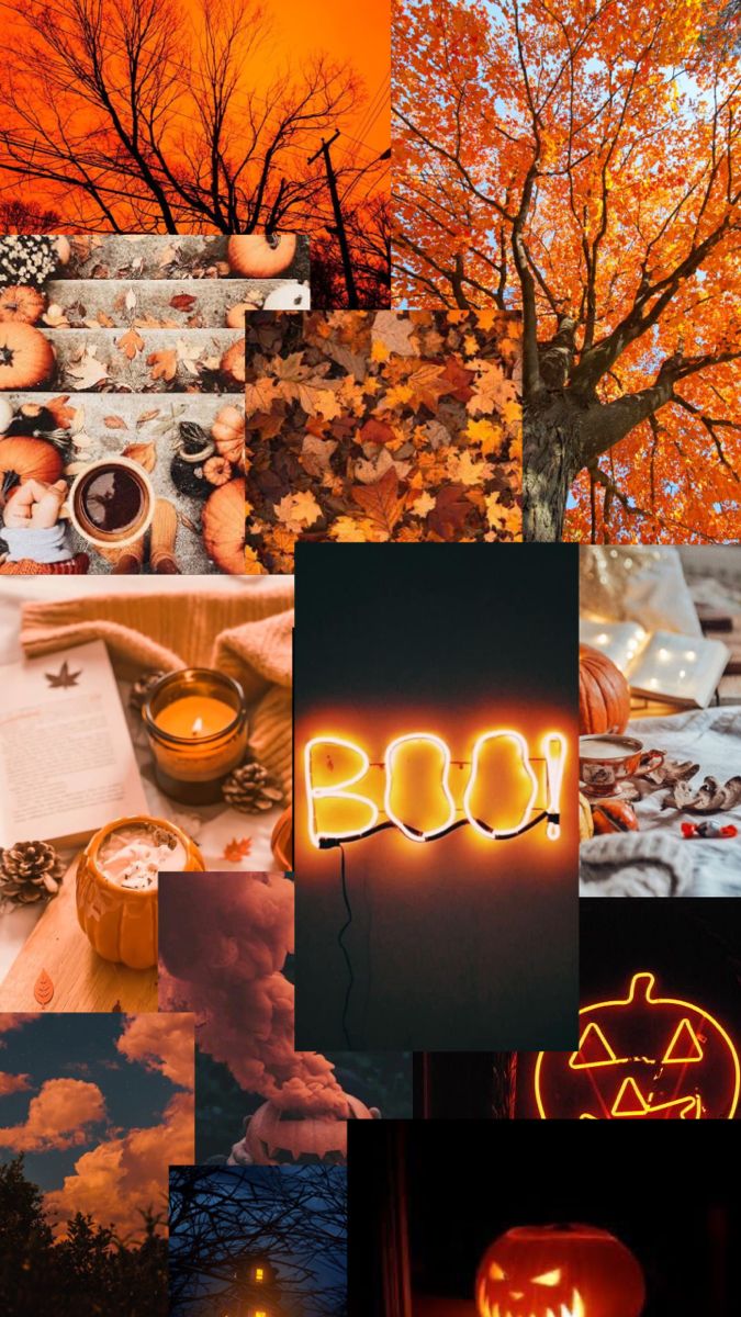 Cozy orange halloween