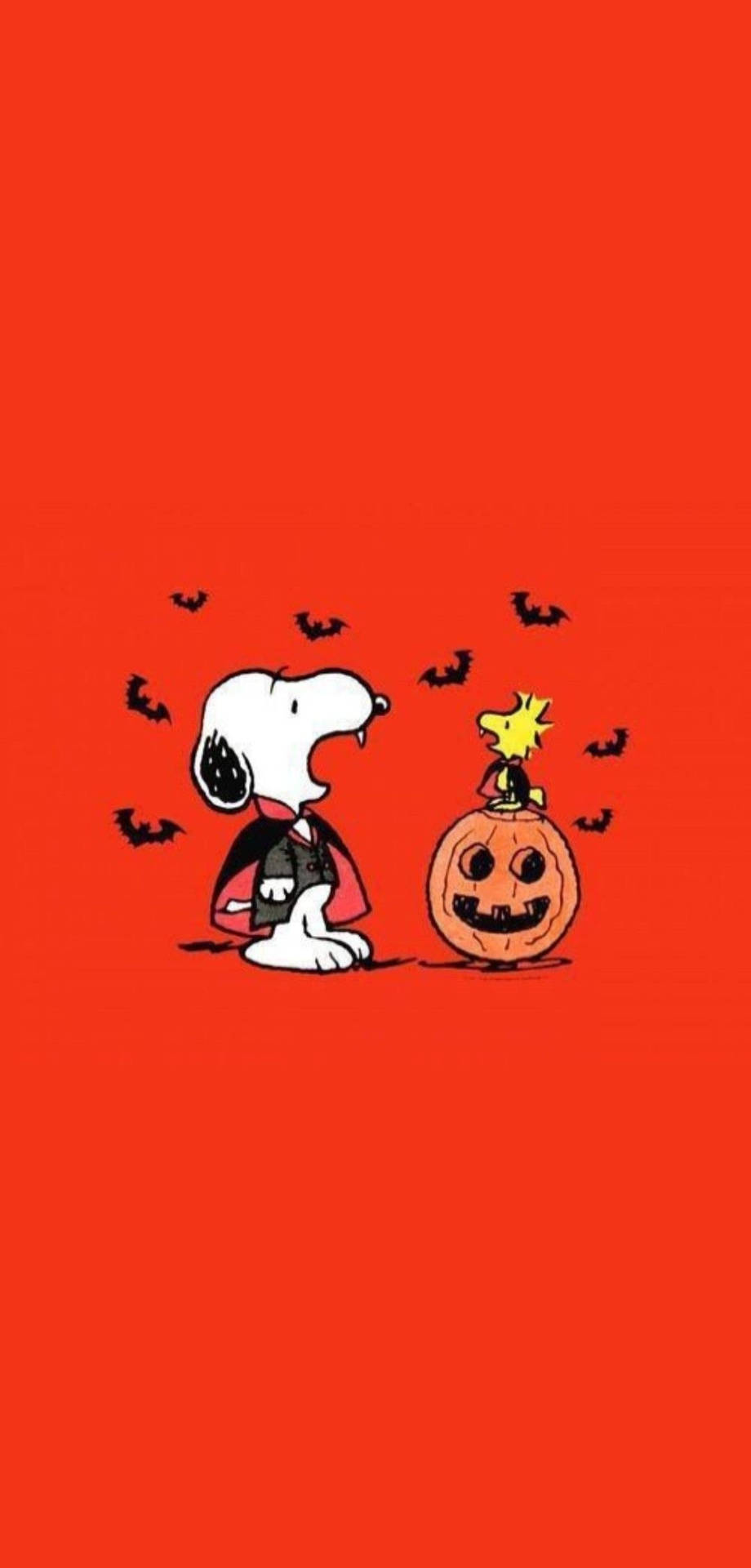 Download Dracula Snoopy Halloween Wallpaper