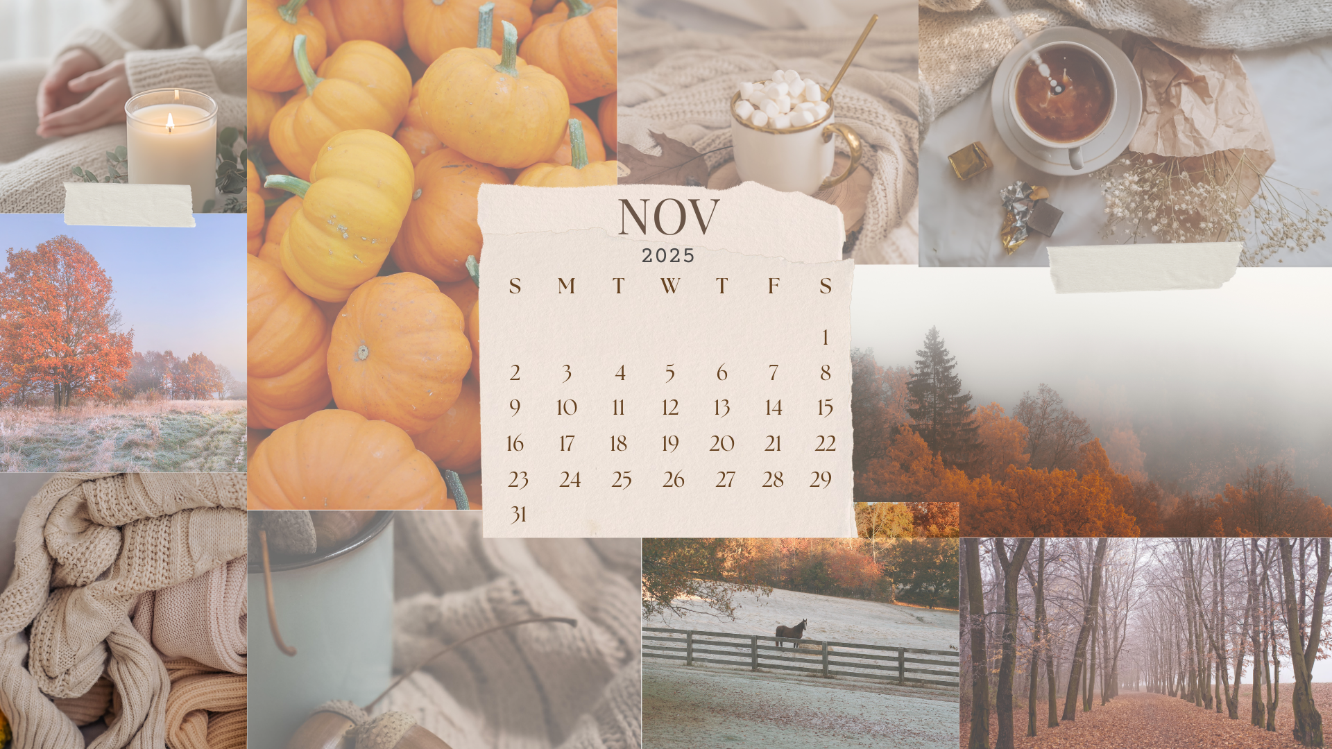 Free November 2025 Desktop Calendar Background (EASY DOWNLOAD)