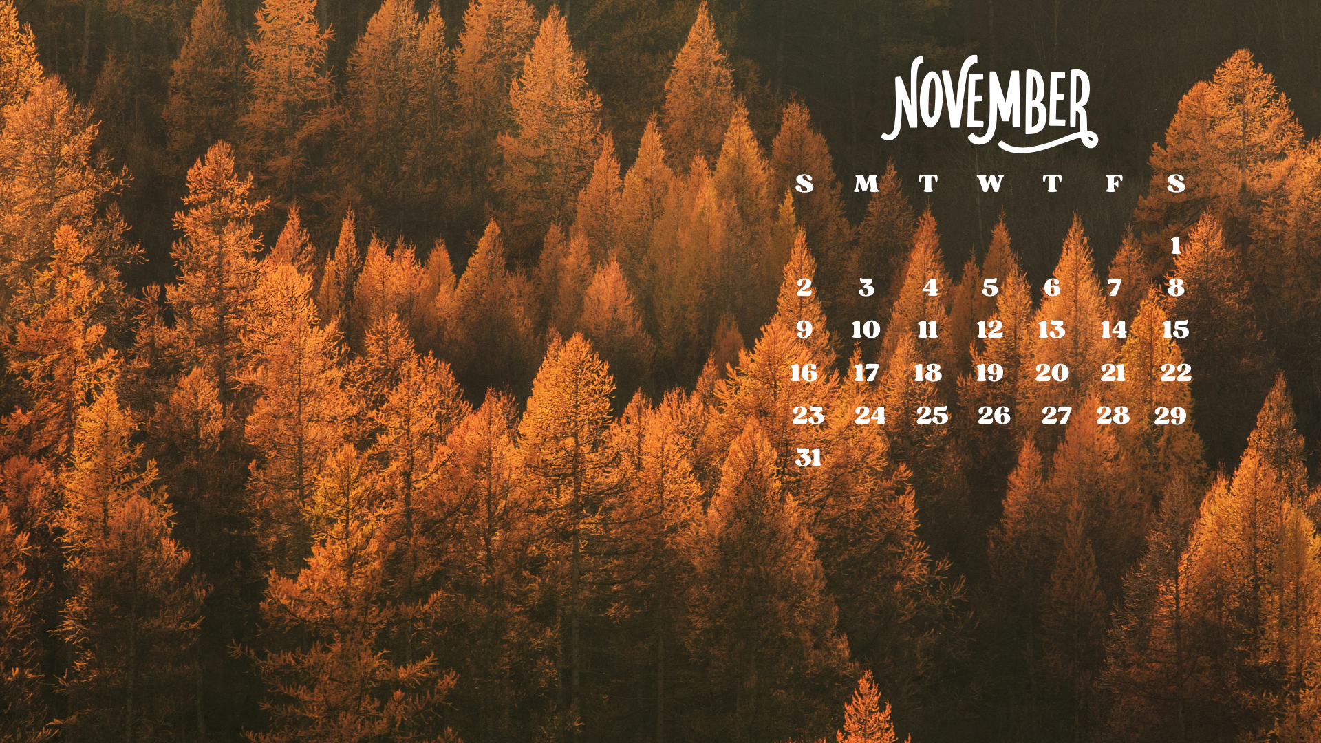 Free November 2025 Desktop Calendar Background (EASY DOWNLOAD)