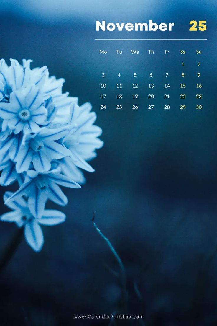iPhone 2025 Calendar Wallpaper in HD Download