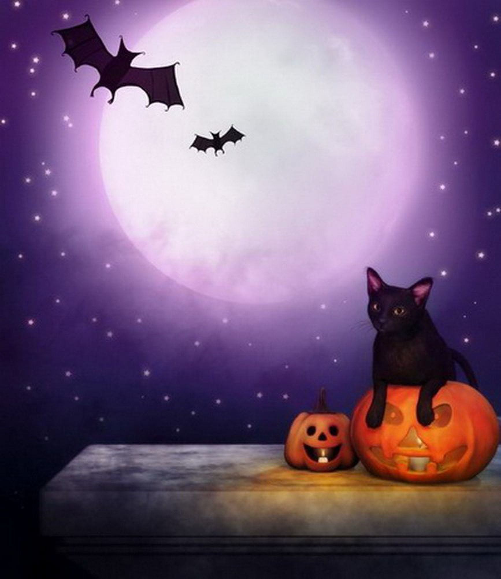 HelloDecor 5x7ft Spooky Halloween Scary Black Cat Pumpkins Bats Full Moon Stars Photography Backdrops Indoor Studio Background Photo Props