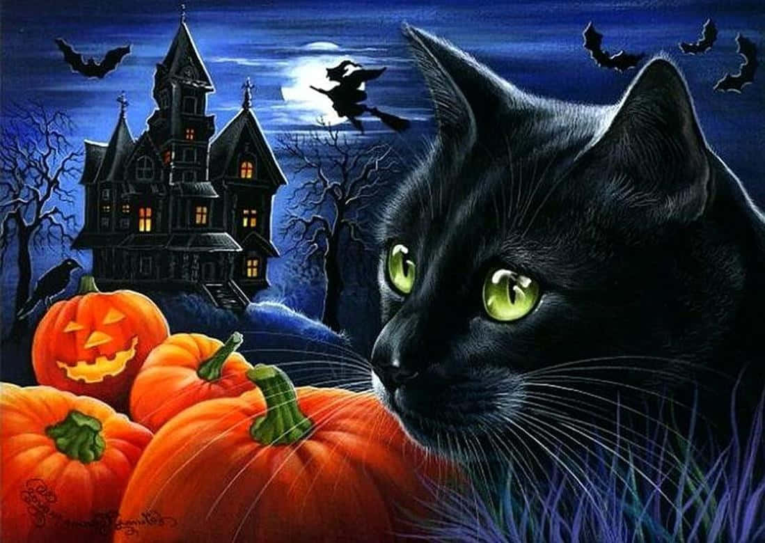 Download Celebrate Halloween with your lovable black cat! Wallpaper