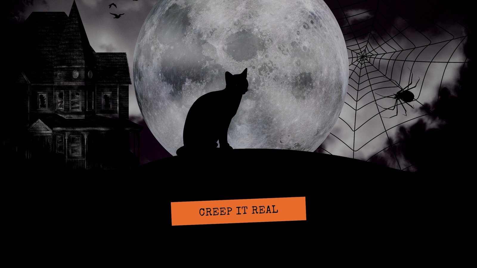 Cat Desktop Wallpaper Online