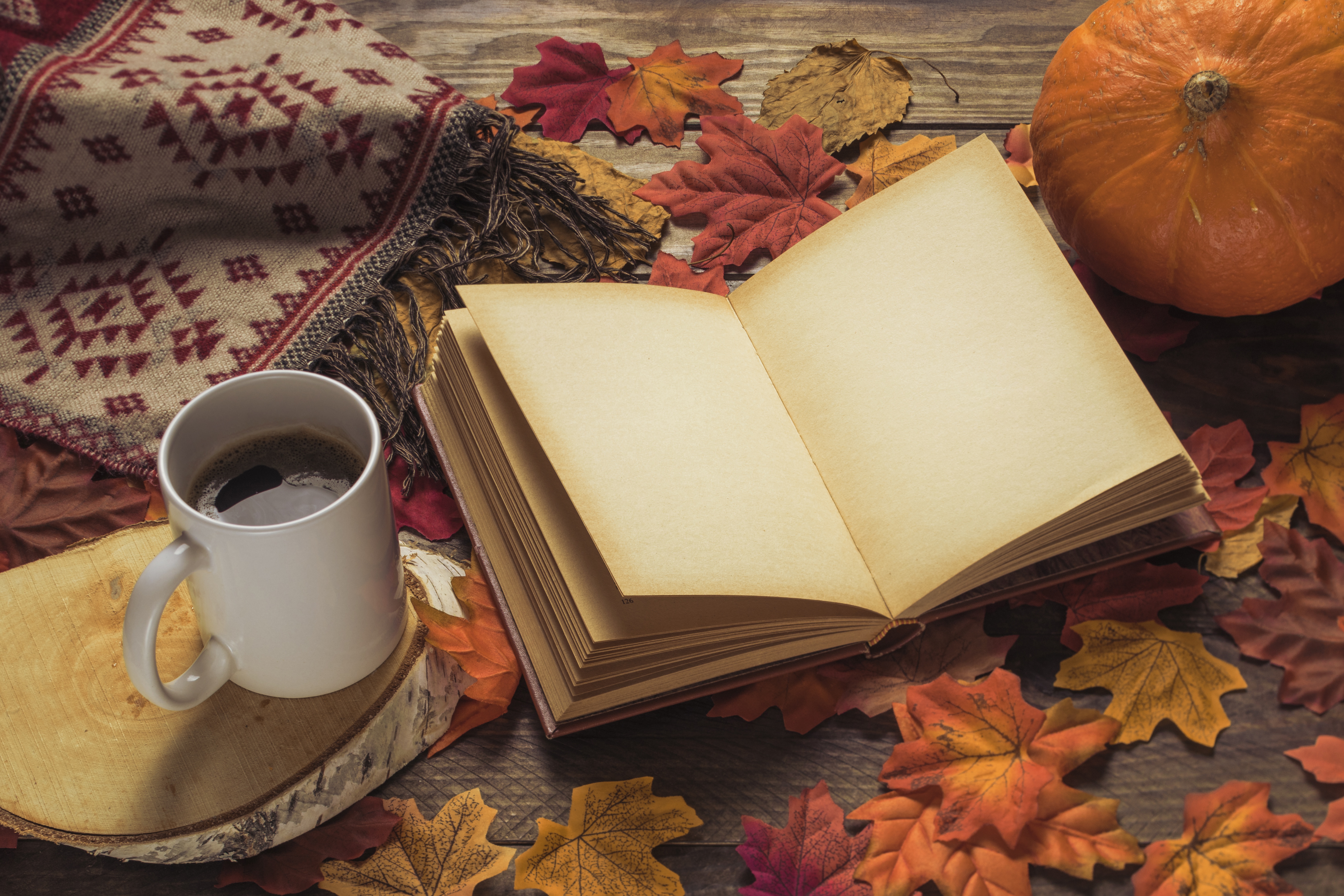 Wallpaper autumn, leaves, trees, background, Board, coffee, colorful, scarf for mobile and desktop, section настроения, resolution 5983x3989