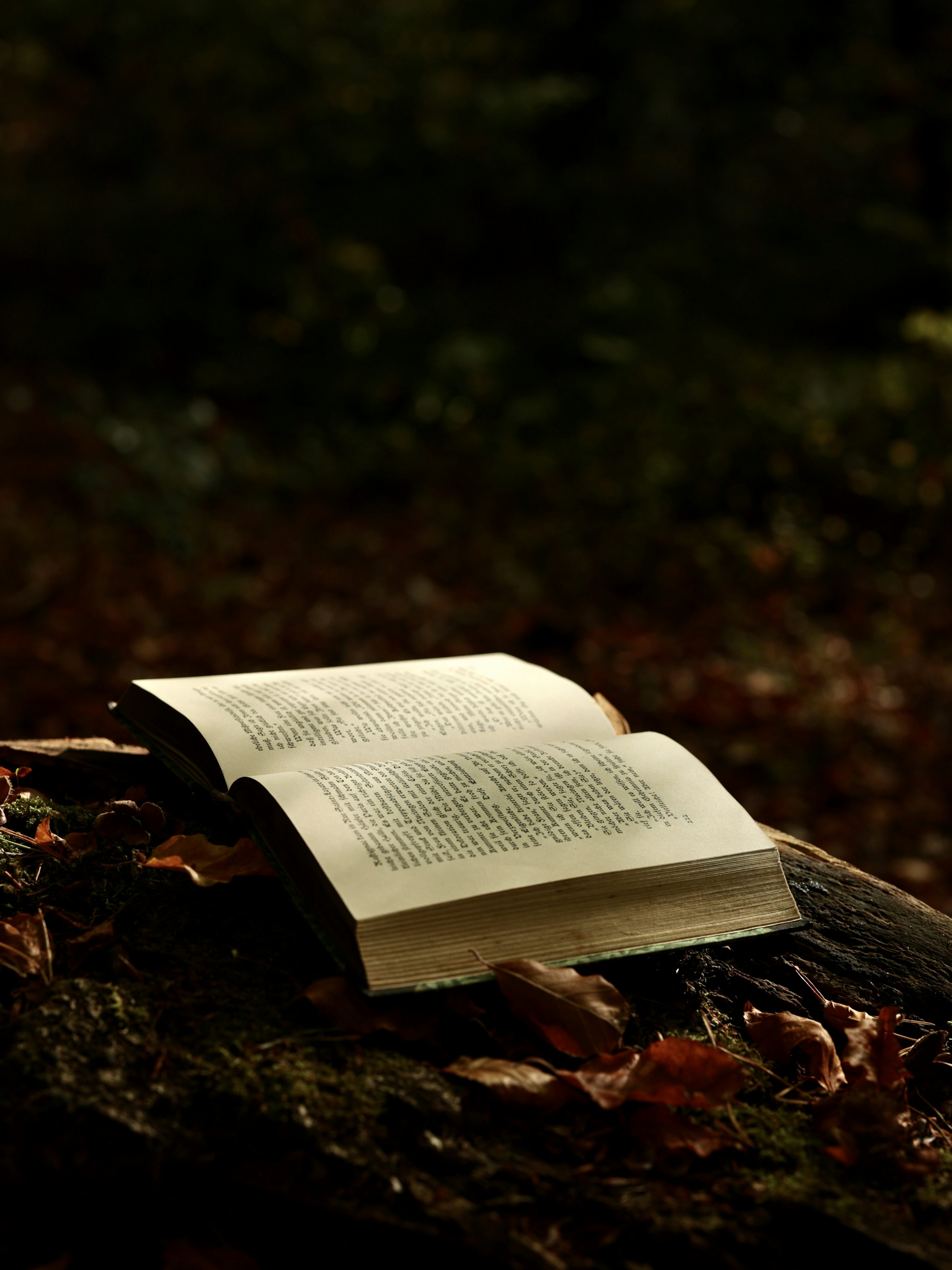 A book on a pile of leaves photo