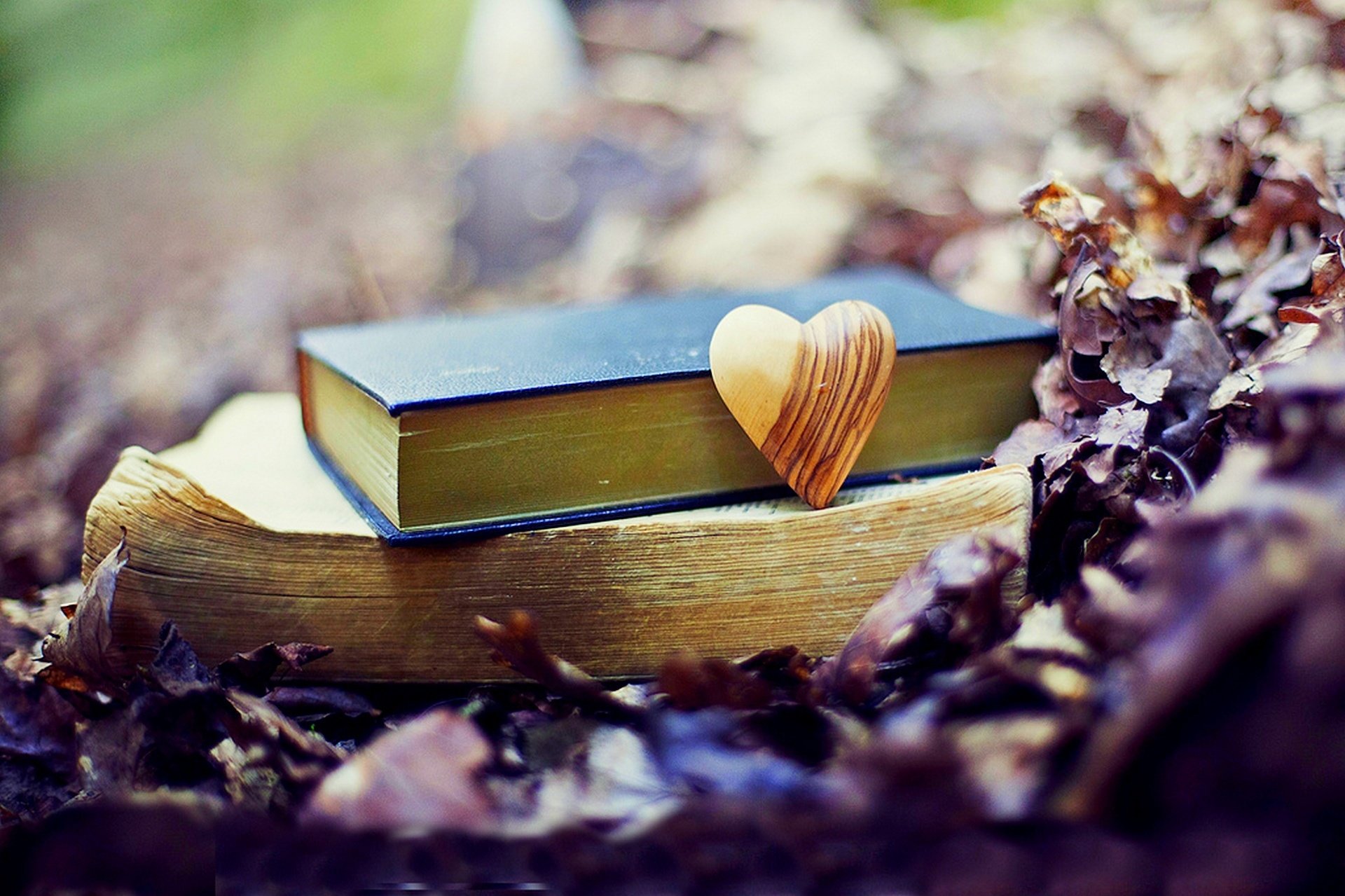 nature, Forest, Old, Book, Leaves, Park, Heart, Love, Fall, Autumn, Bokeh, Mood Wallpaper HD / Desktop and Mobile Background