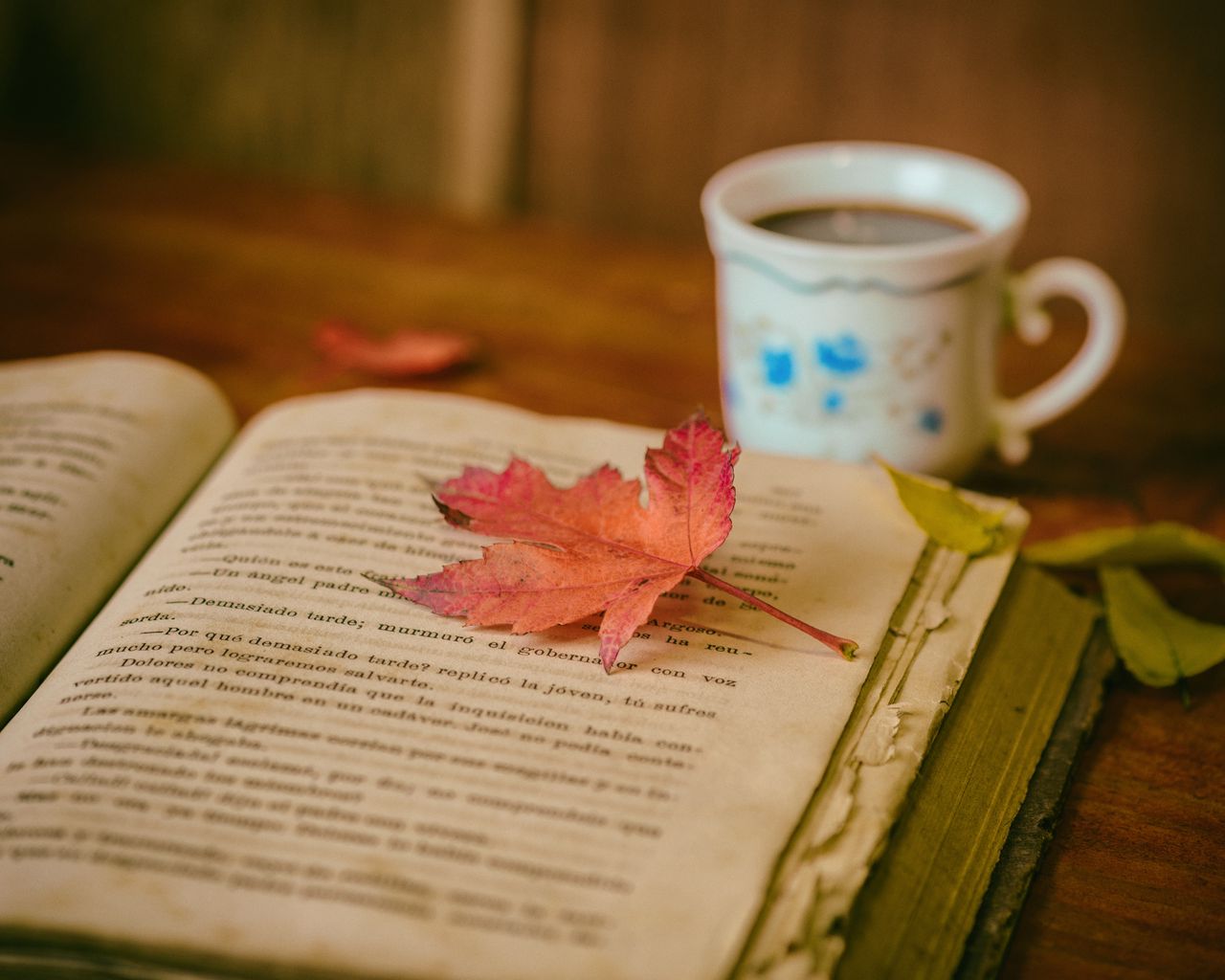 Download wallpaper 1280x1024 book, leaves, cup, autumn, comfort, reading, coffee standard 5:4 HD background