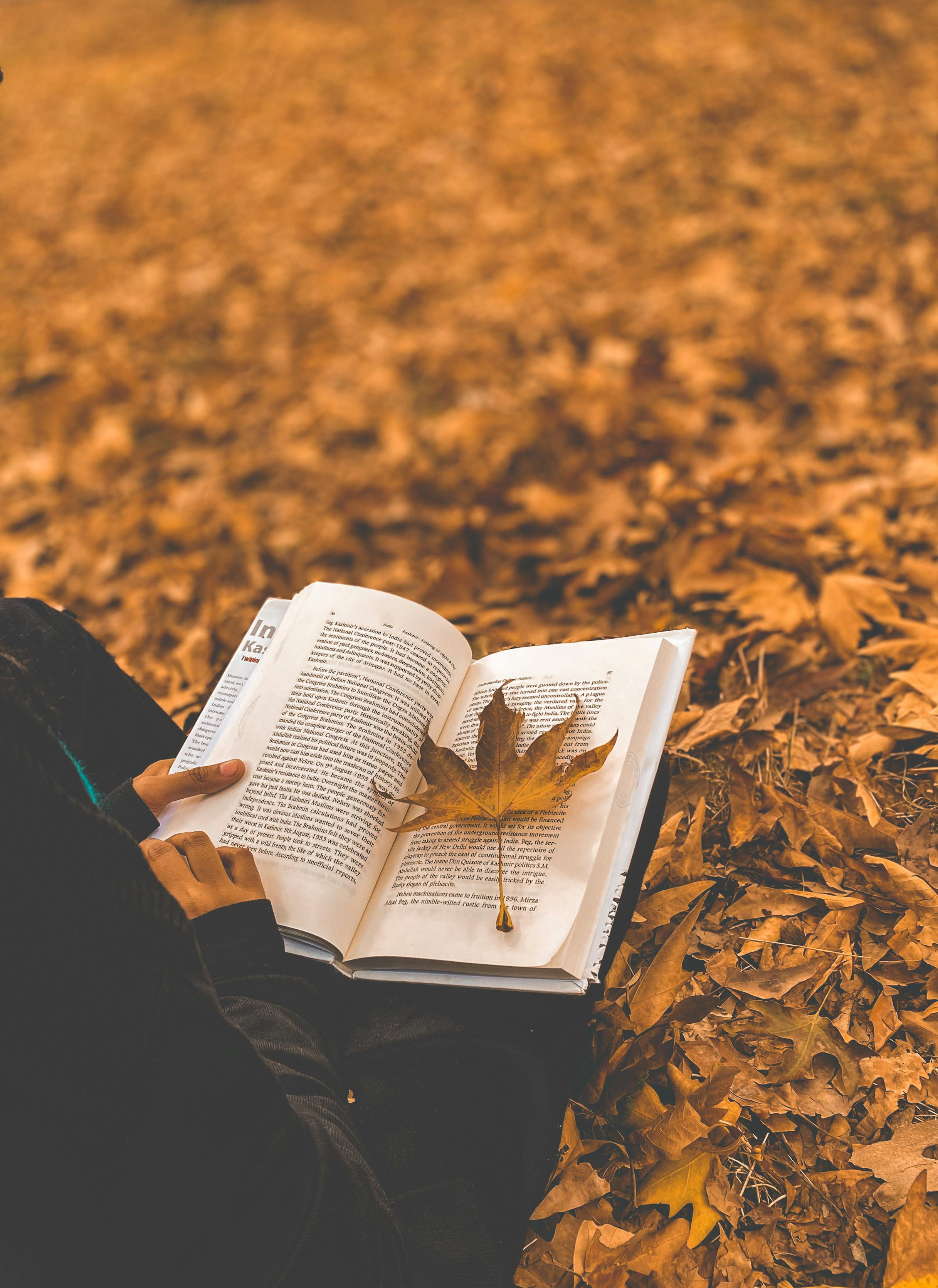 Leaf on a Book · Free