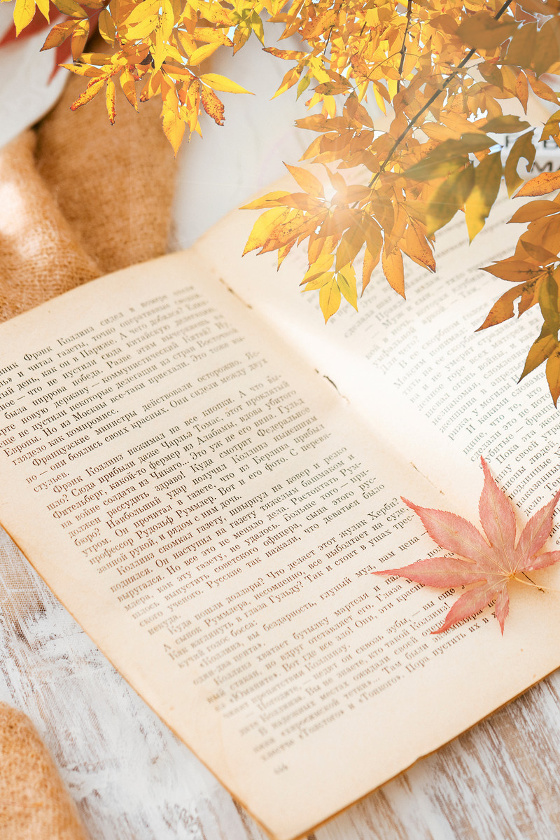 Autumn Book Orange Aesthetic Background Background. PSD Free Download