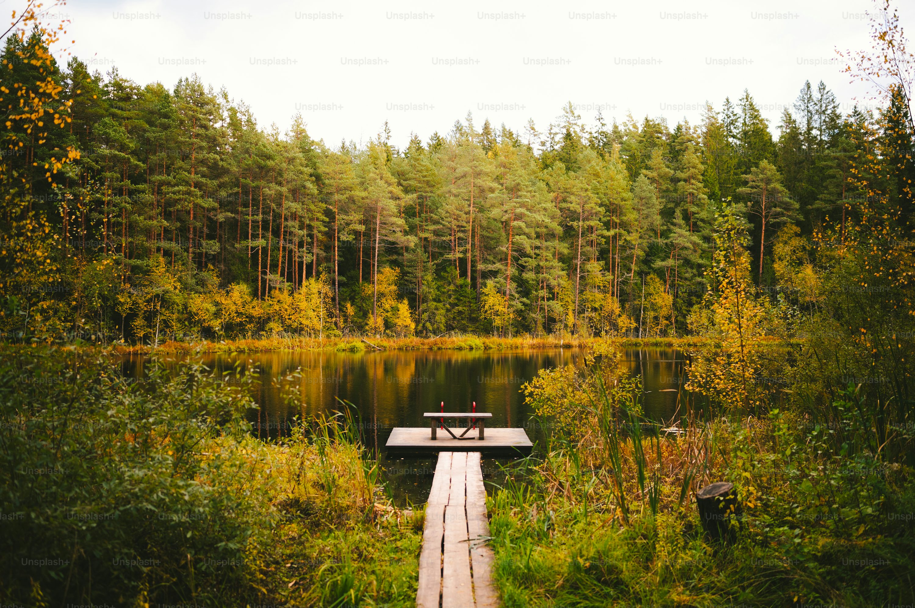 Autumn Lake Picture. Download Free Image