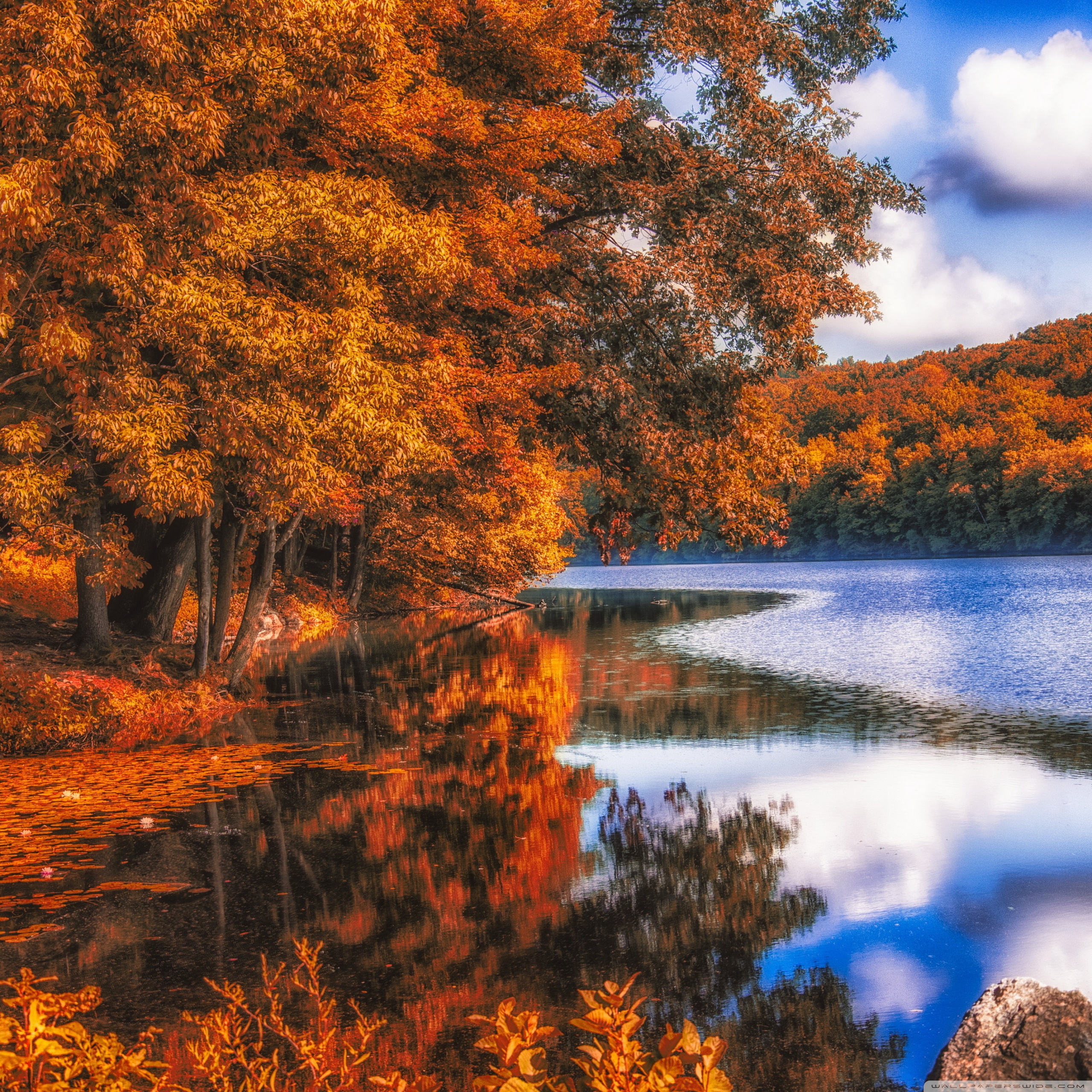 Lake, Forest, Autumn 4K UHD Wallpaper for UltraHD Desktop and TV, Widescreen and UltraWide Display, Smartphone and Tablet Devices