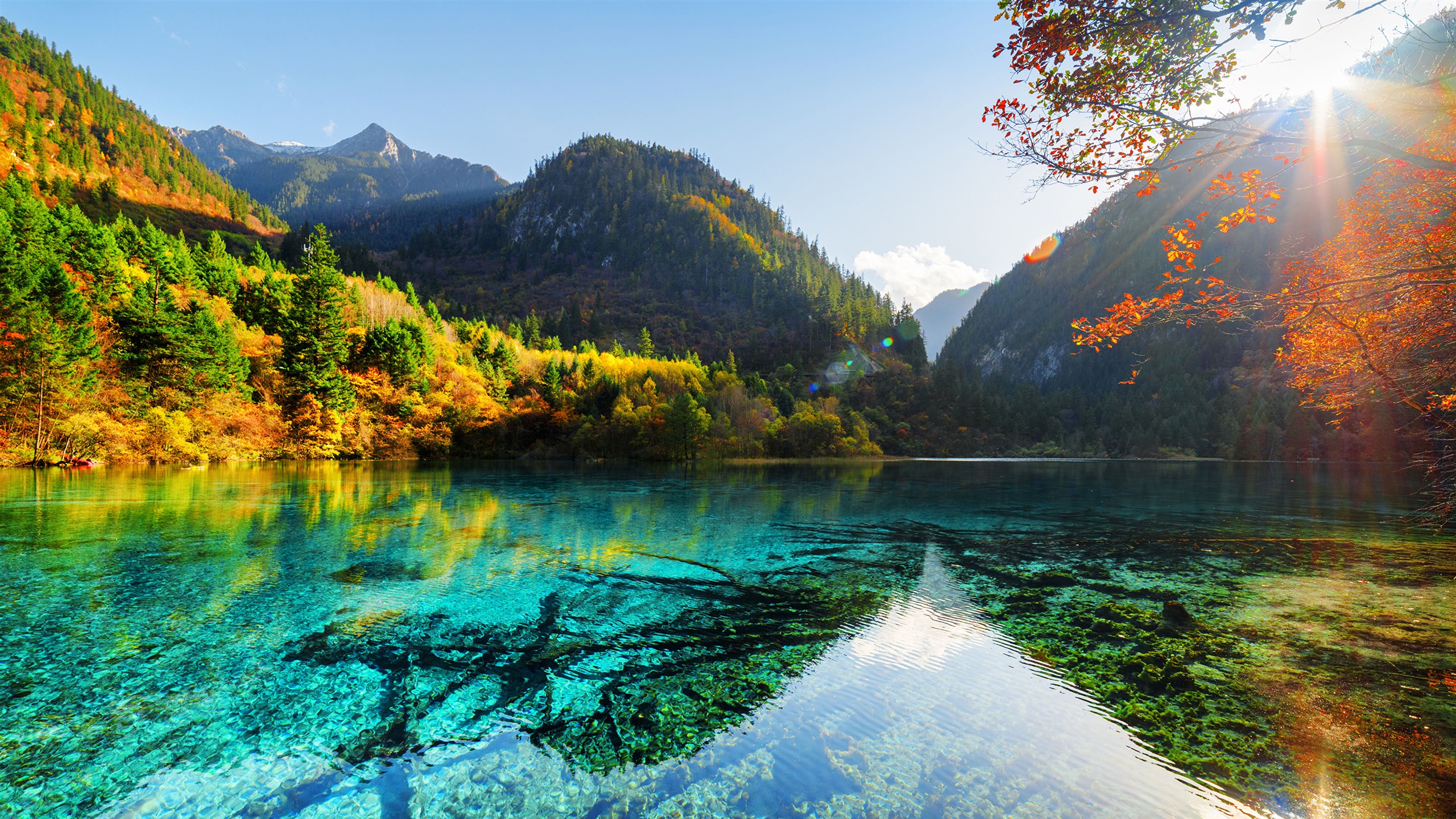 China Jiuzhaigou Parks Autumn Lake Mountains