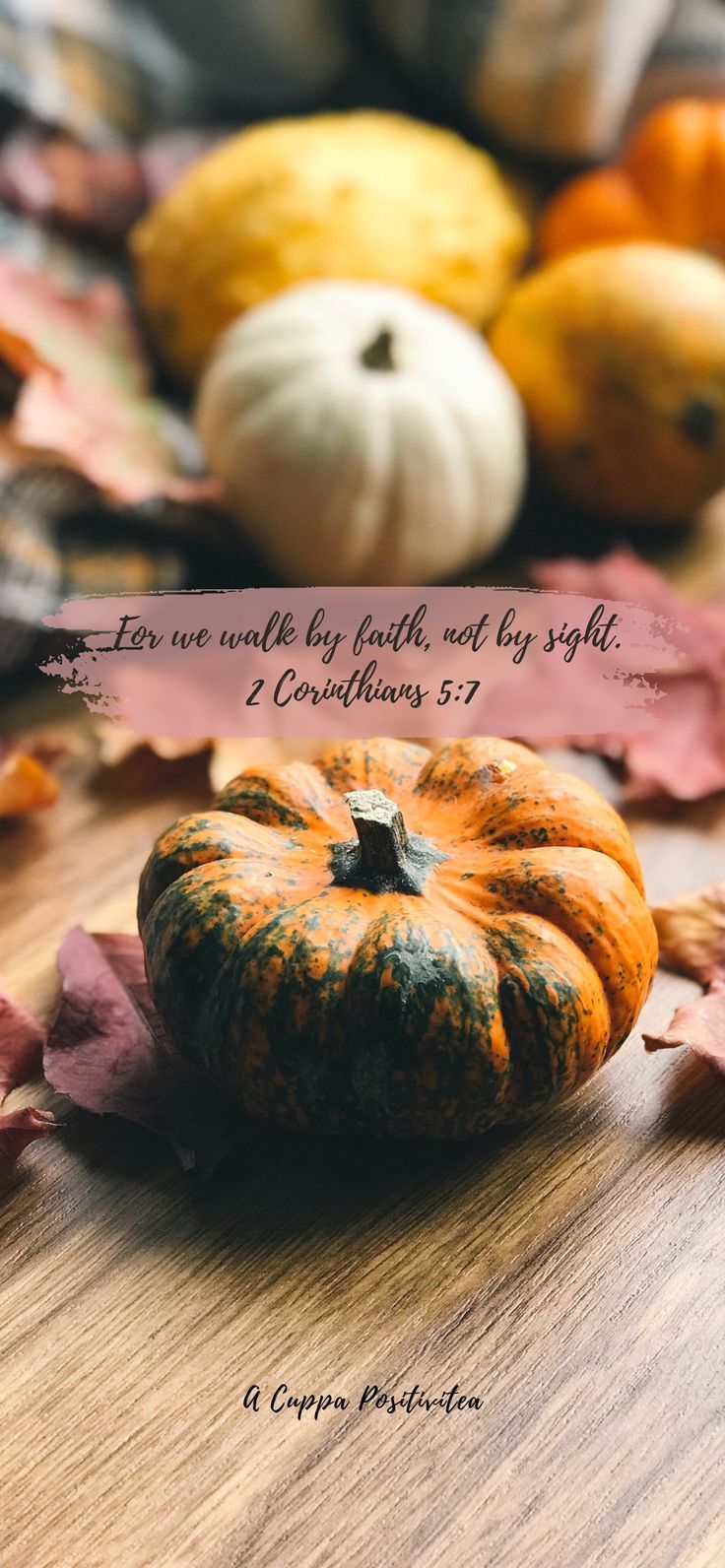 Free Scripture Wallpaper