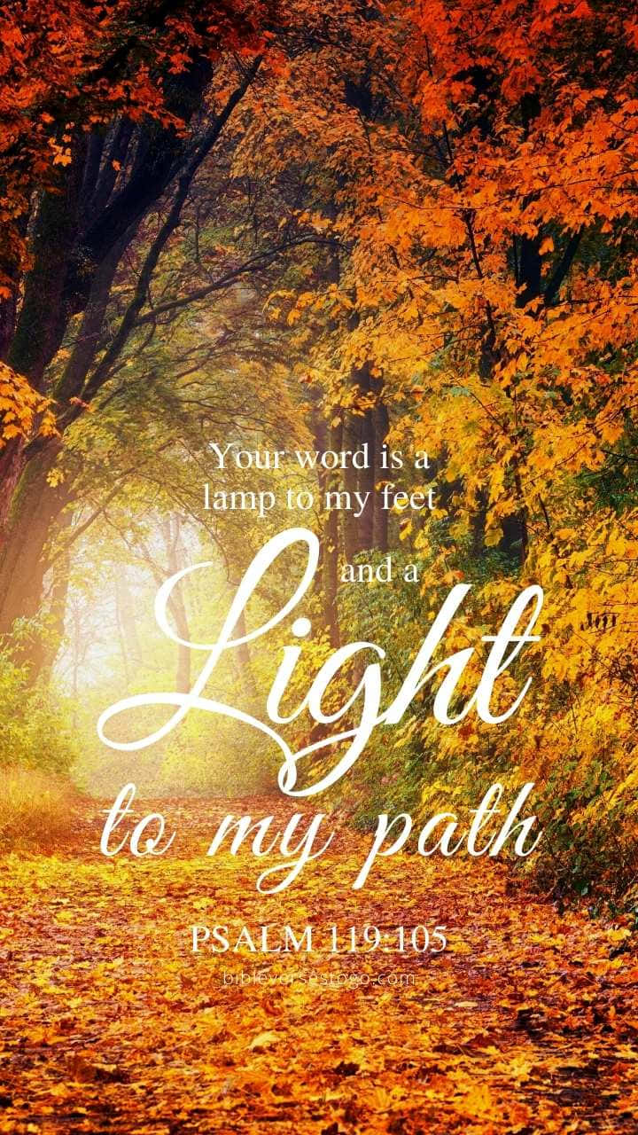 Download Light To My Path Bible Verse Wallpaper
