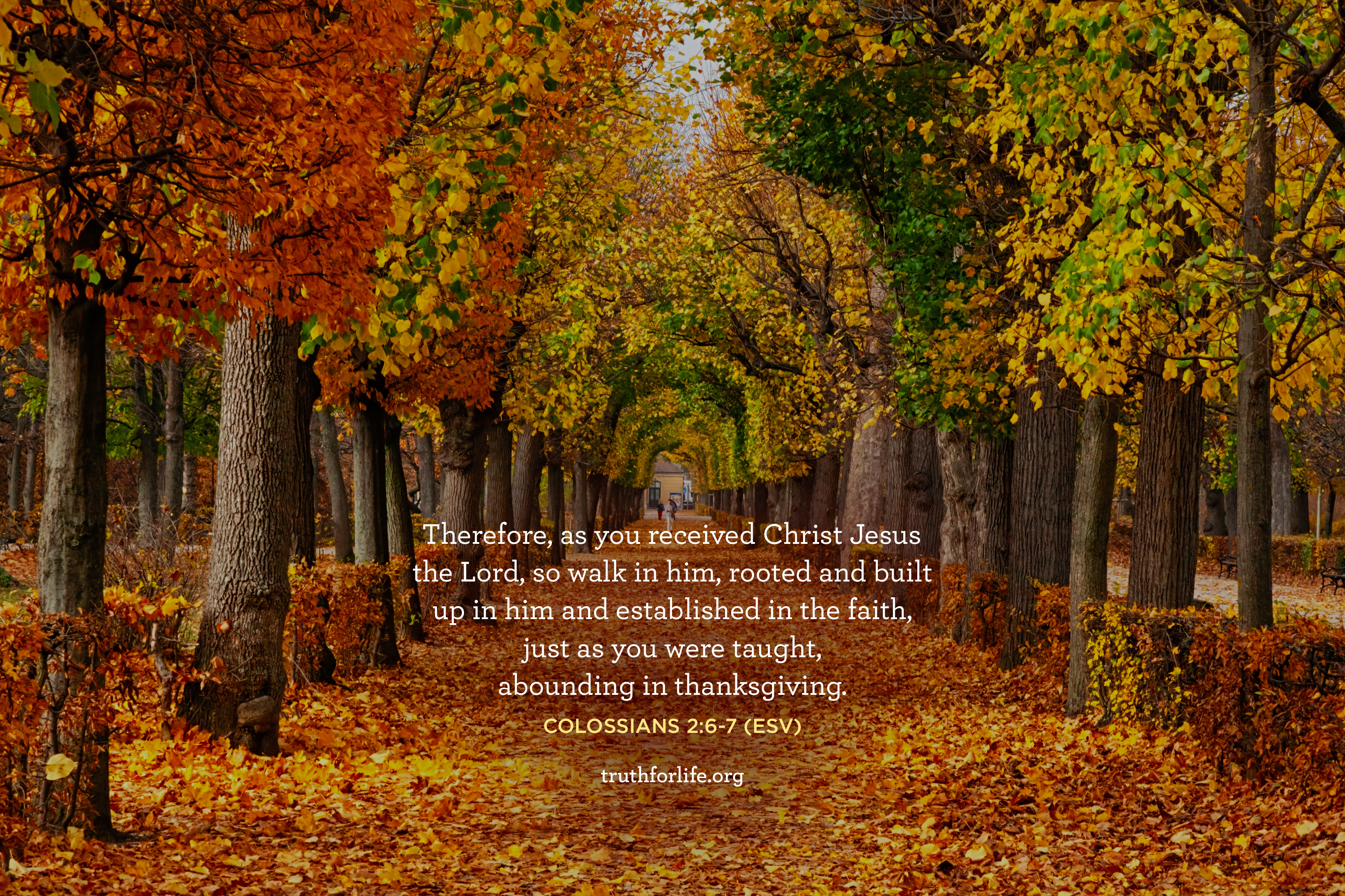 Wallpaper: Abounding in Thanksgiving