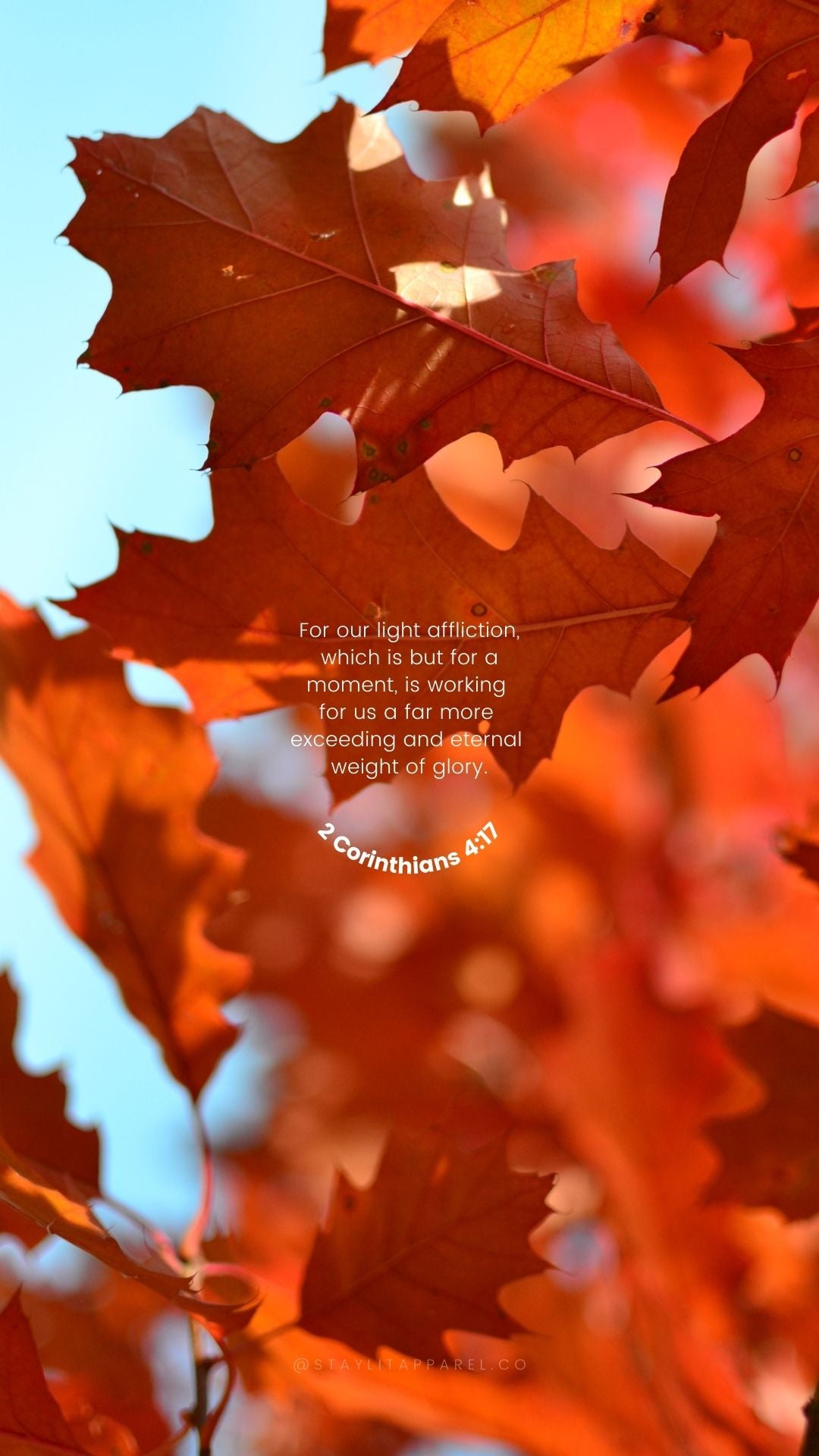 Bible Promises From God For When You Need Hope