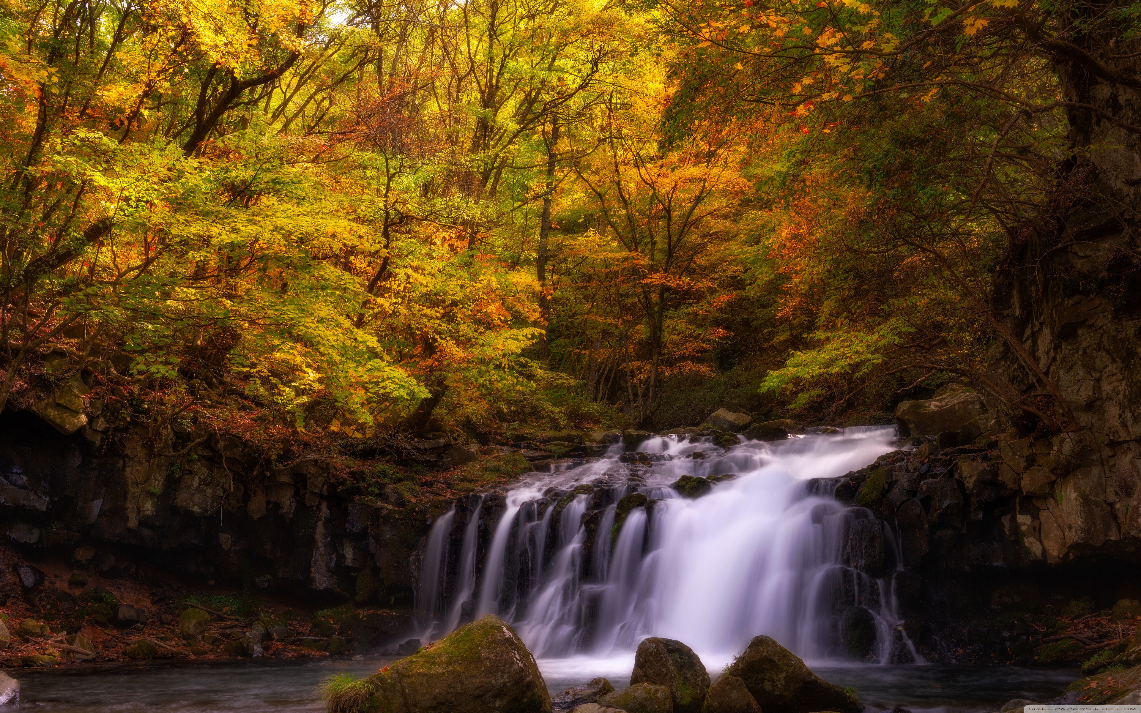 Autumn Japan 4K UHD Wallpaper for UltraHD Desktop and TV, Widescreen and UltraWide Display, Dual Monitor, Smartphone and Tablet Devices