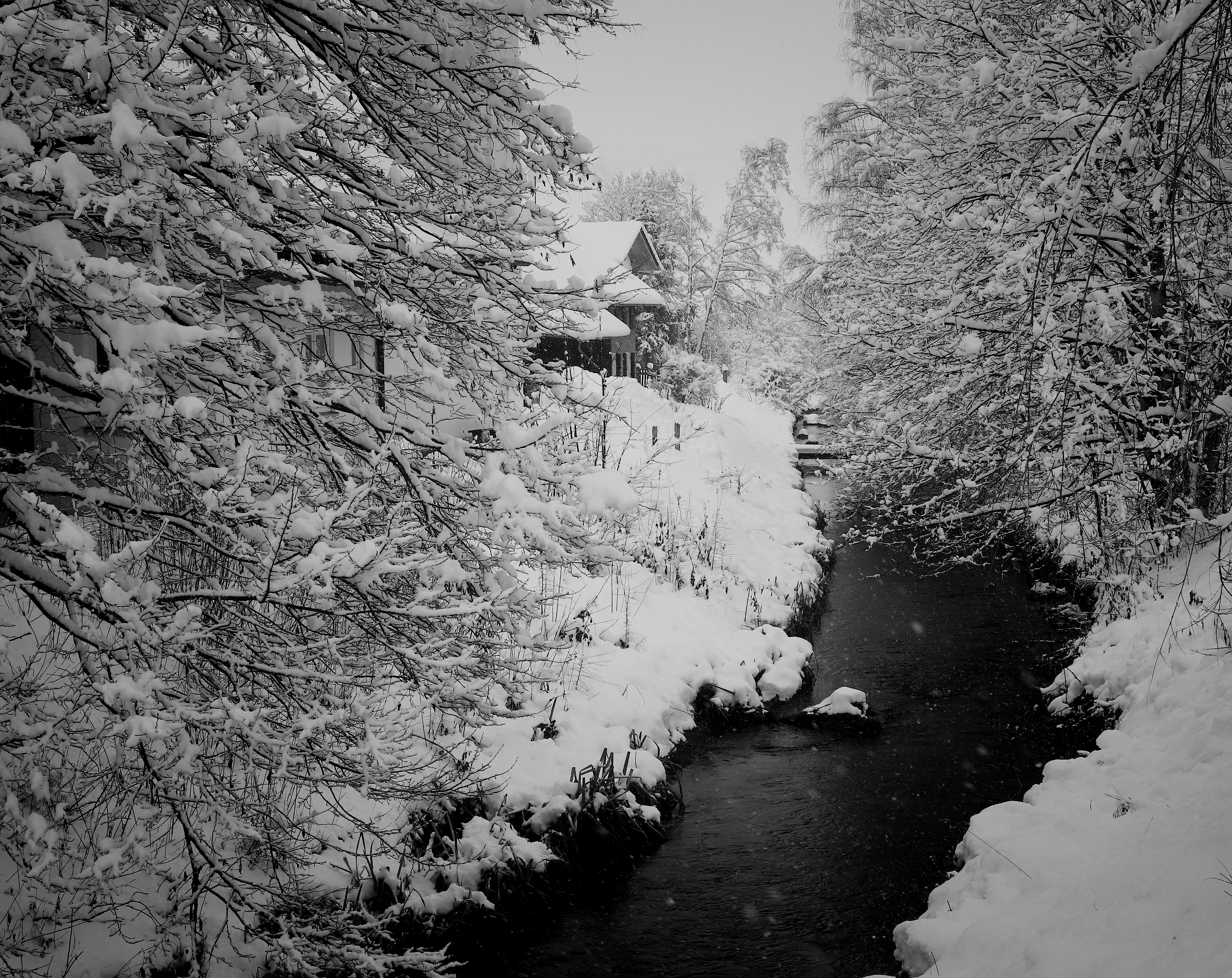 Winter Serenity: Snow Covered River Scene In GermanyK Ultra HD Wallpaper By Andrea Erl