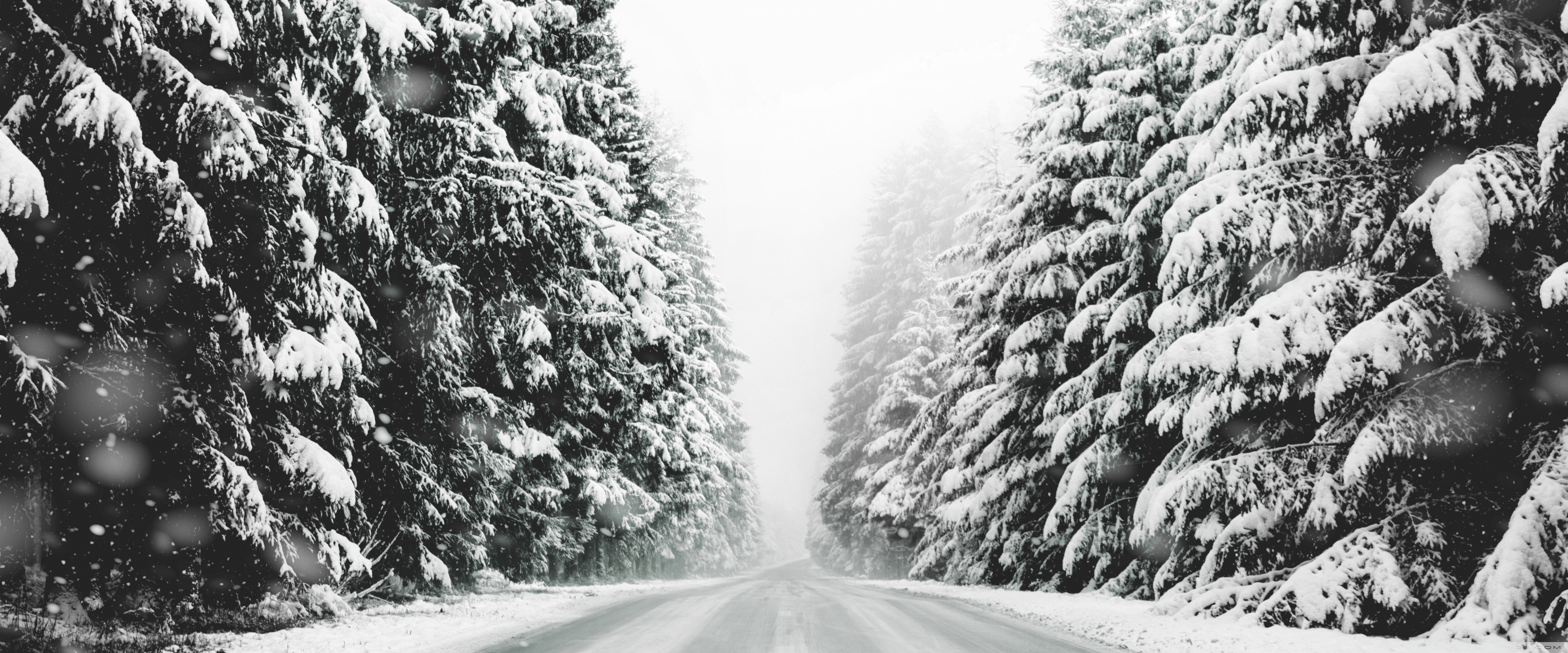 Road, Forest, Snow, Winter Landscape, Black and White 4K UHD Wallpaper for UltraHD Desktop and TV, Widescreen and UltraWide Display, Dual and Triple Monitor, Smartphone and Tablet Devices