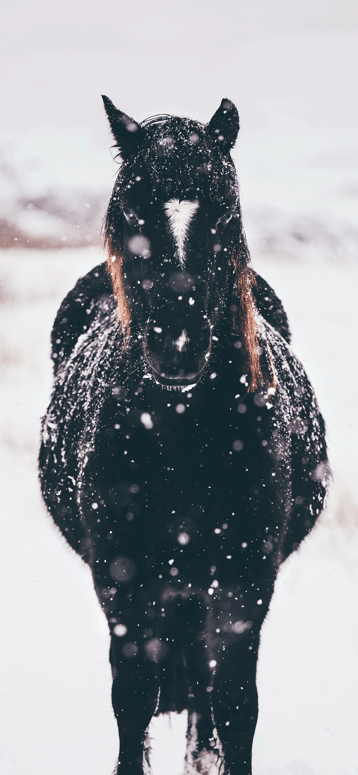 Winter iPhone Black Wallpapers - Wallpaper Cave