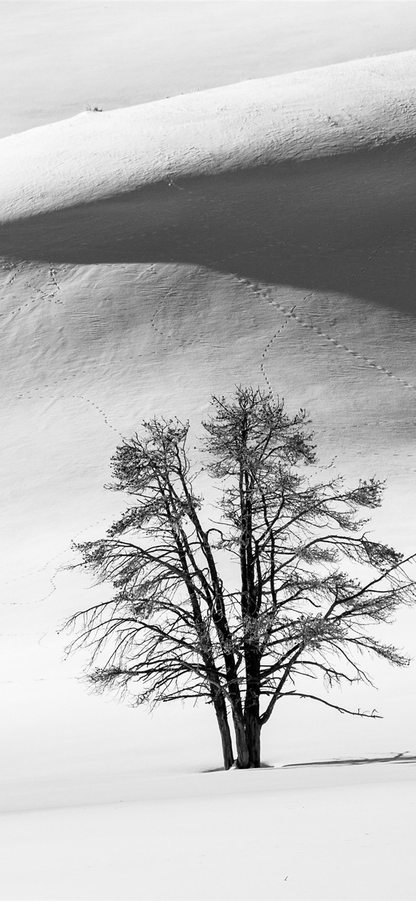 Winter iPhone Black Wallpapers - Wallpaper Cave