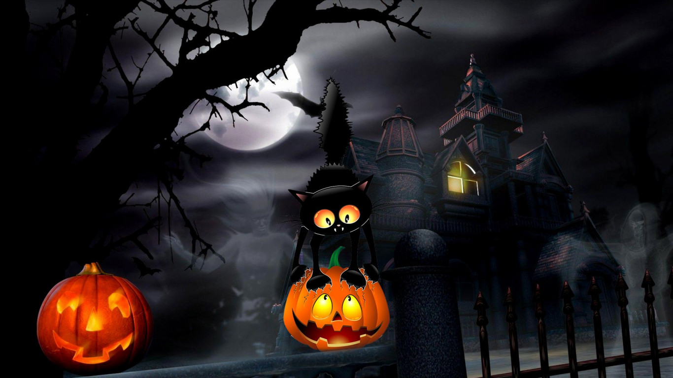 Halloween Black Cat Wallpaper Full HD 34682
