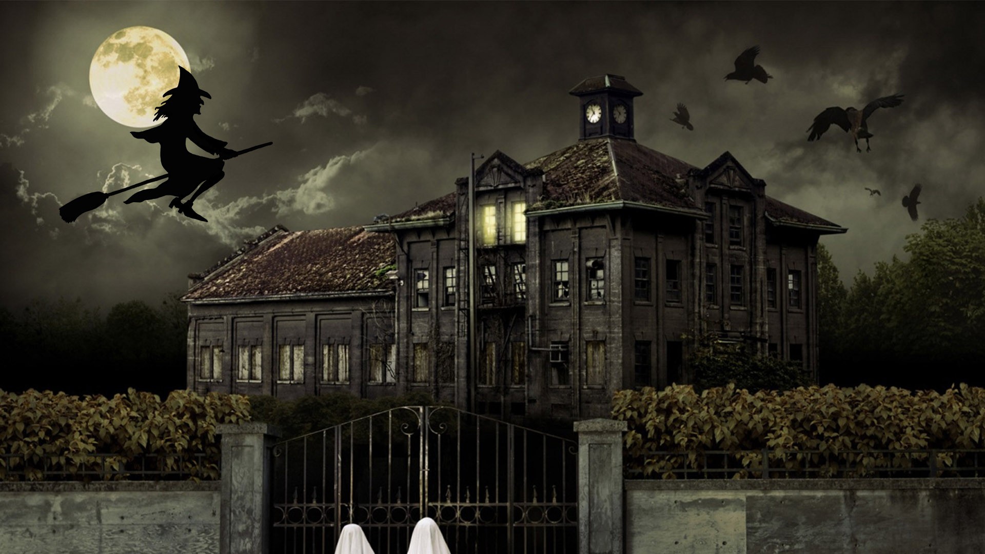 Halloween Witch HD Desktop Wallpaper 34799