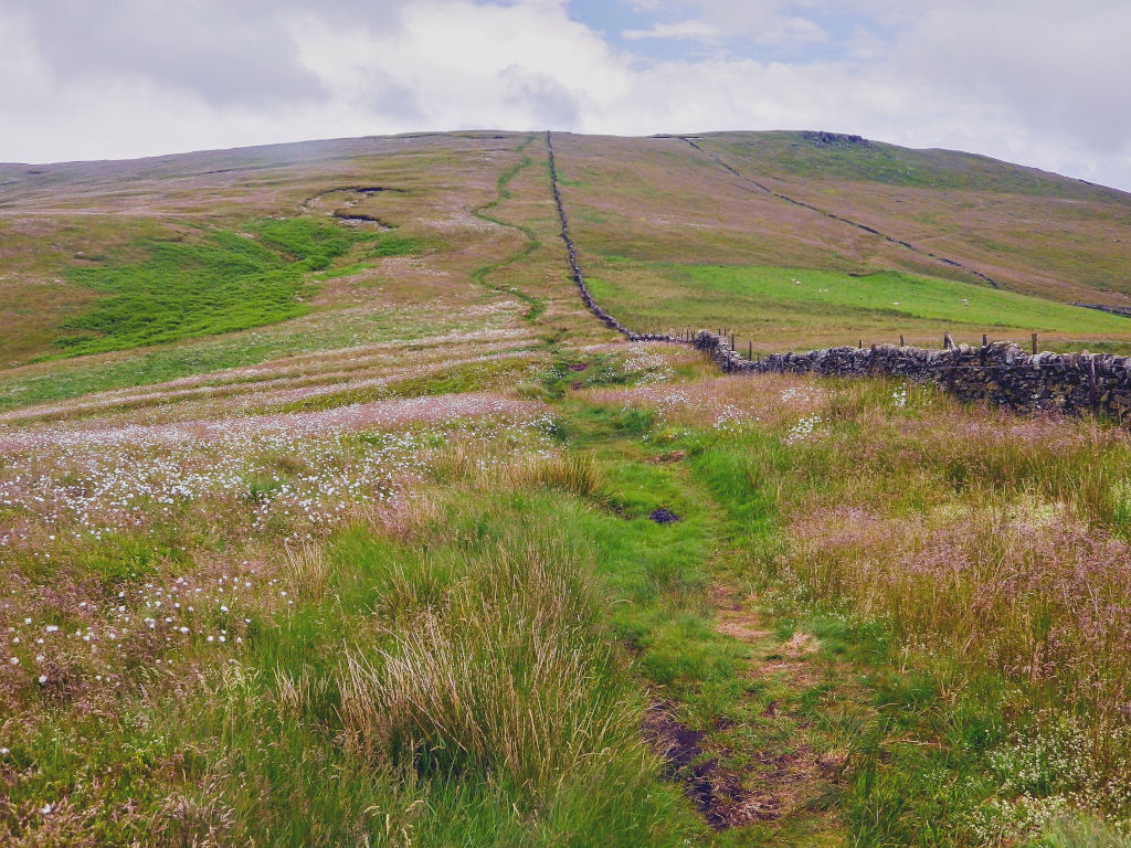 Shining Tor, Dane Valley, Shutlingsloe District Walk