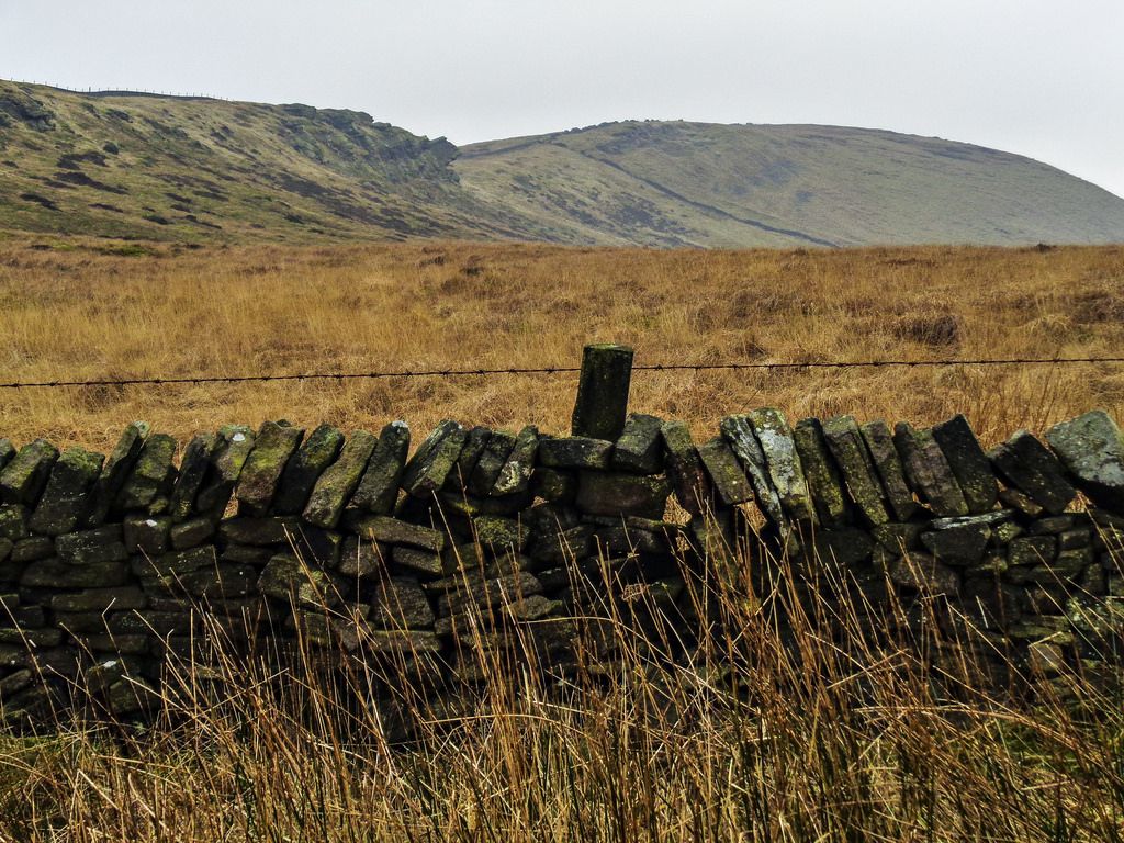 Peak District Walk: Shining Tor, Cats Tor, Windgather Rocks, Thursbitch