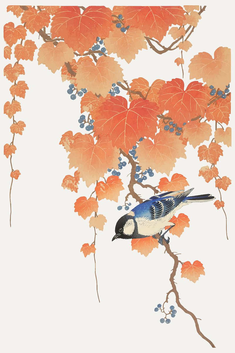 Great Tit Ohara Koson Bird Image Wallpaper
