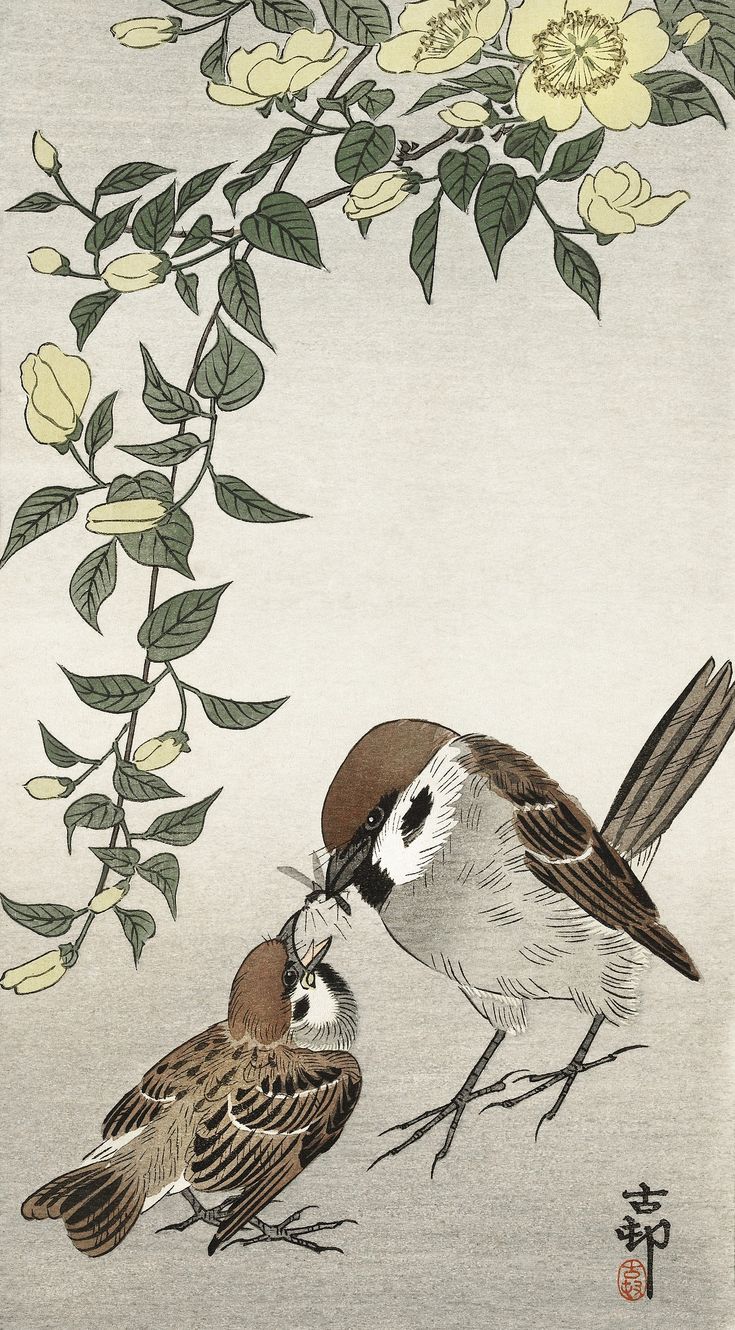 Download Free Image Of Birds And Plants (1900) By Ohara Koson (1877 1945). Original From The Rijksmuseum. Digitally Enhanced By Rawpixel. By Rijksmuseum About Ohara Koson, Mobile Wallpaper, Iphone Wallpaper, Maya, And Wallpaper 436453