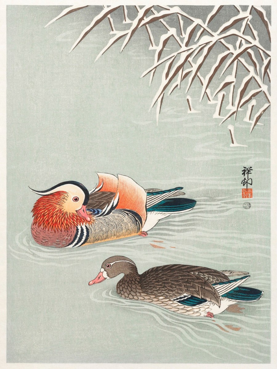 13258.Wall Decor Poster.Oriental design.Japan Ohara Koson painting.Mandarin duck