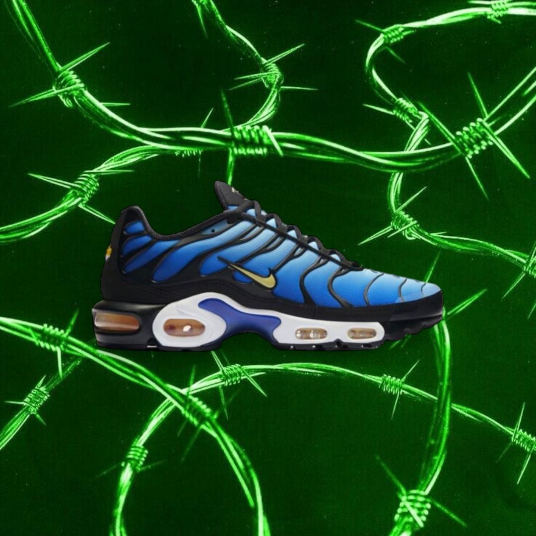 NIKE AIR MAX PLUS TN Blue Silver