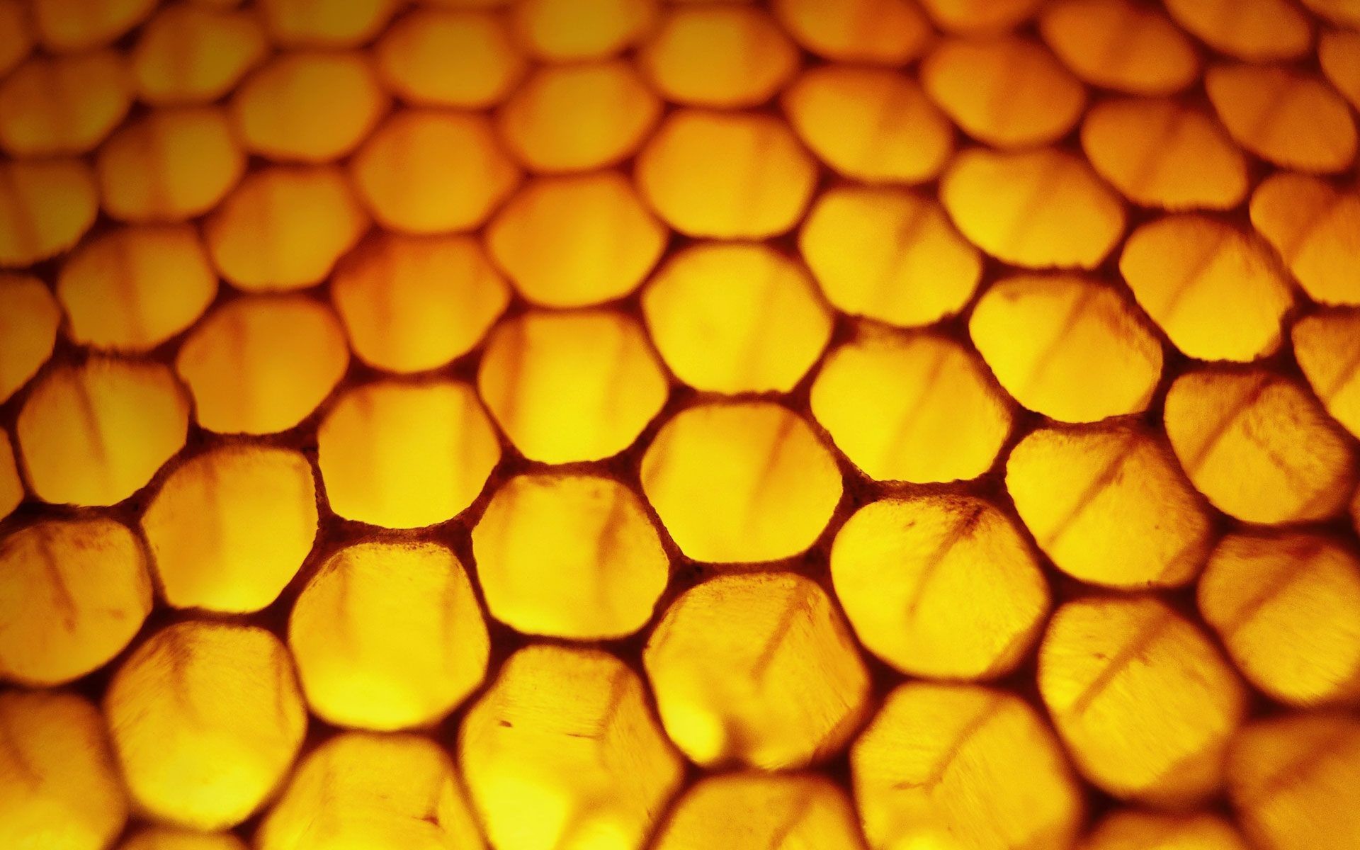 Honeycomb Wallpaper Windows 8