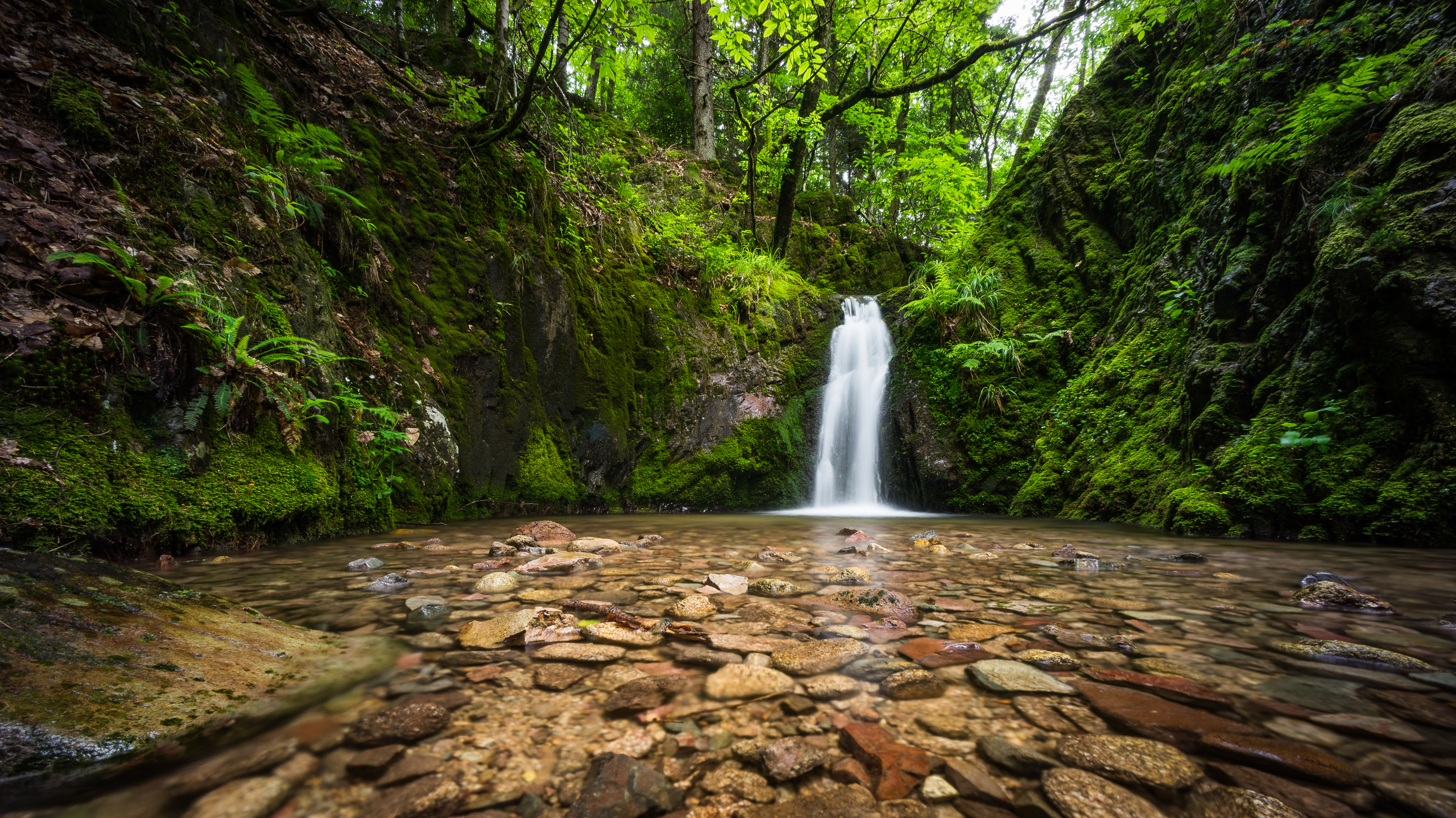 Wallpaper forest, river, stones, waterfall, Germany, Germany, Black Forest, The black forest for mobile and desktop, section пейзажи, resolution 3000x1687