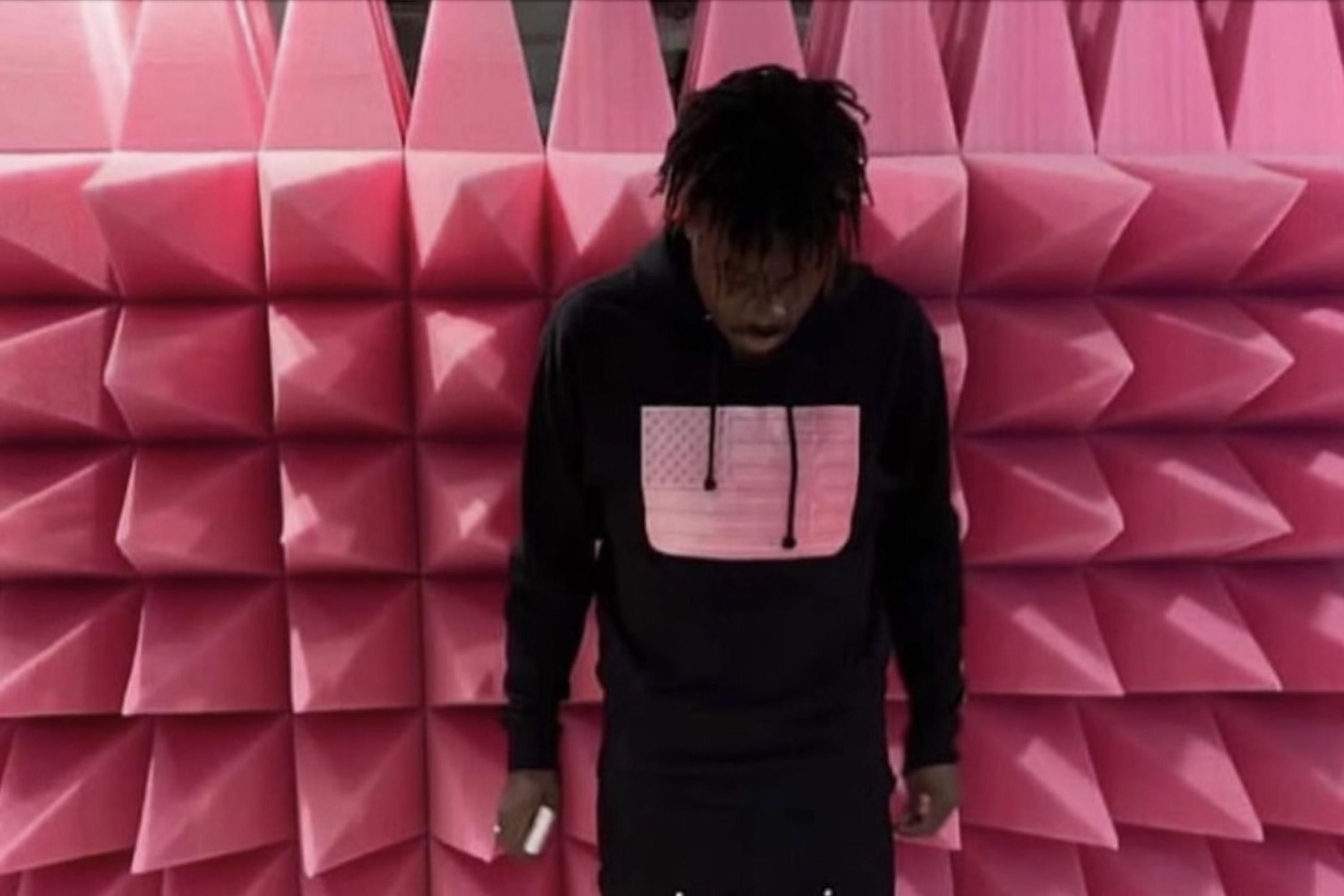 fakemink: “Easter Pink” Track Review