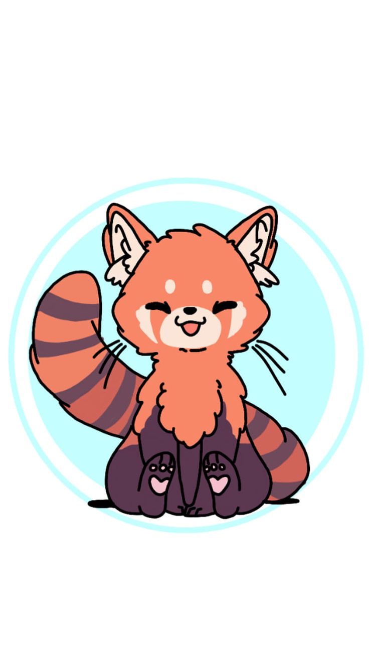 Kawaii red panda, cute, floofy, HD phone wallpaper