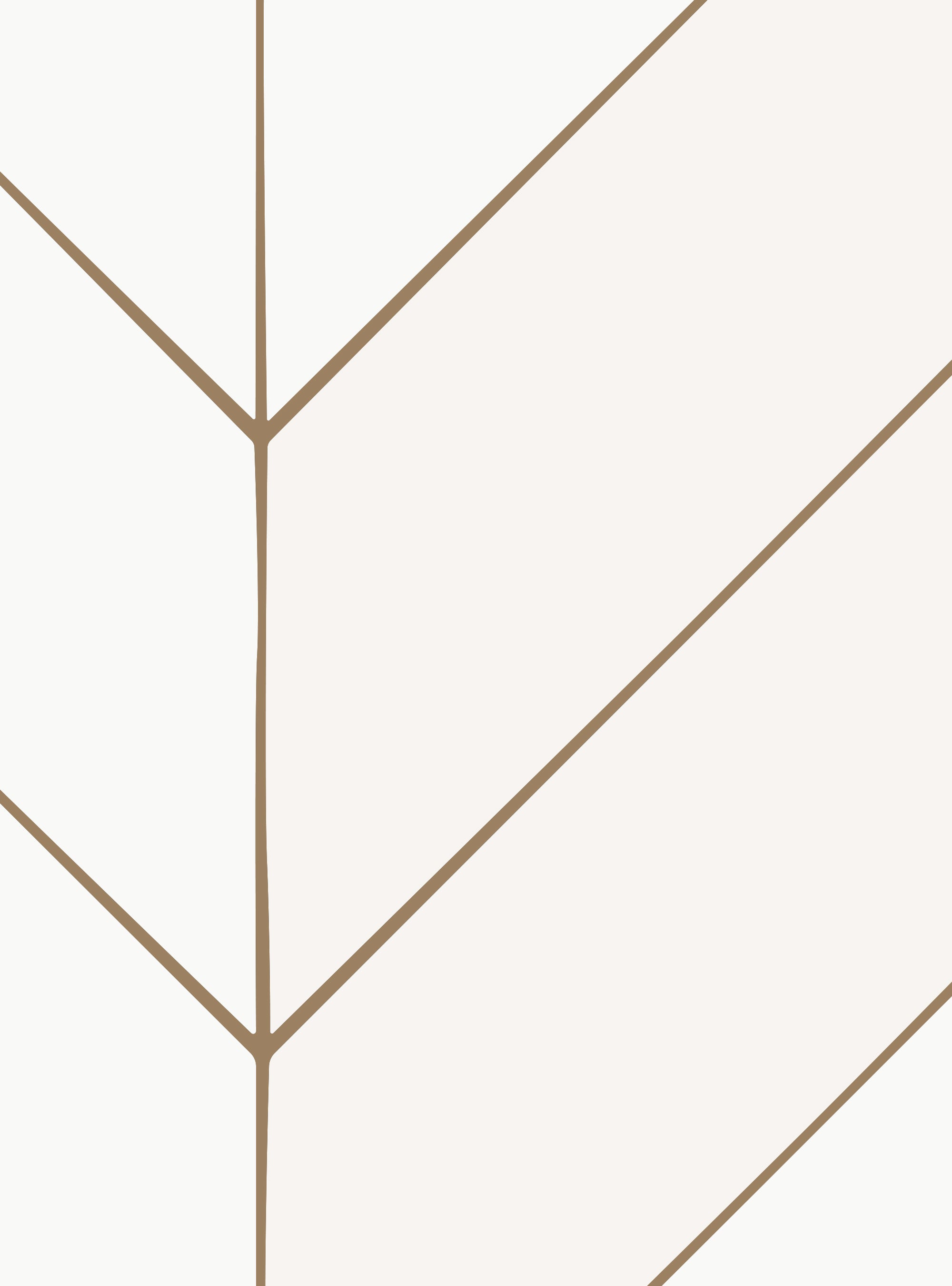 Abstract Mural Wallpaper. Organic Gold Lines on White
