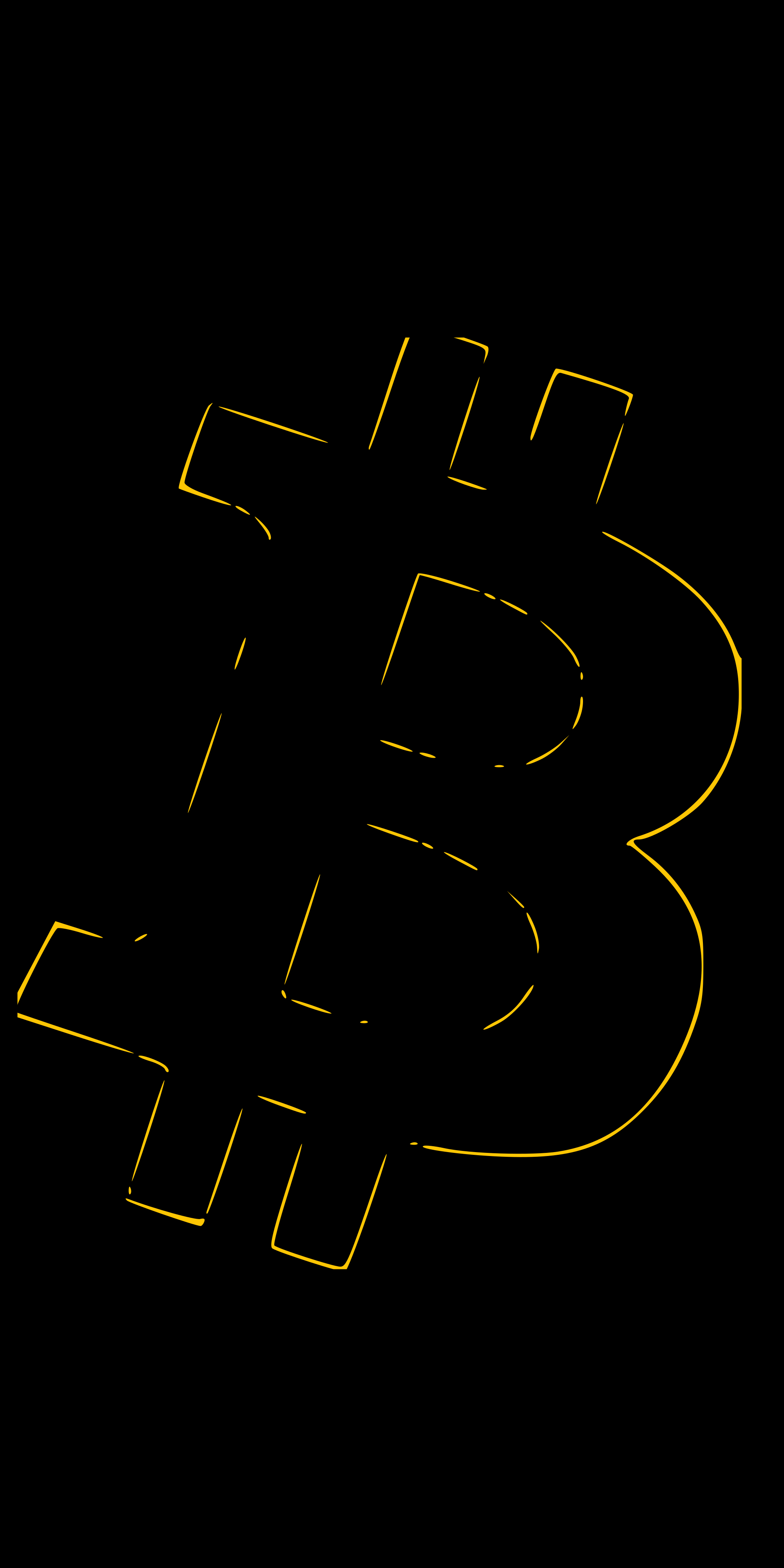Bitcoin Wallpaper v2 [1917x3943]