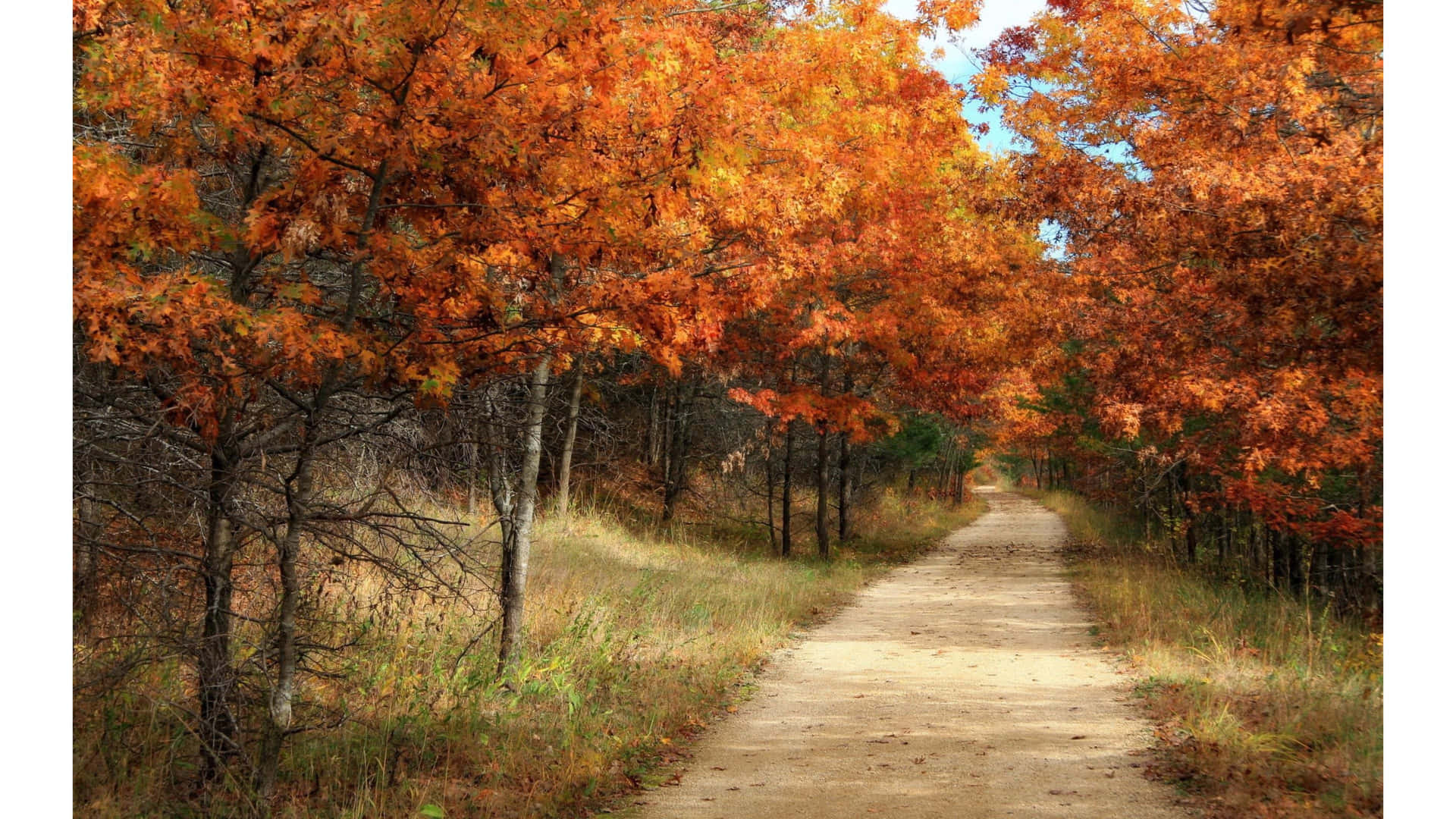 Download Enjoy the beauty of fall with a vintage touch. Wallpaper