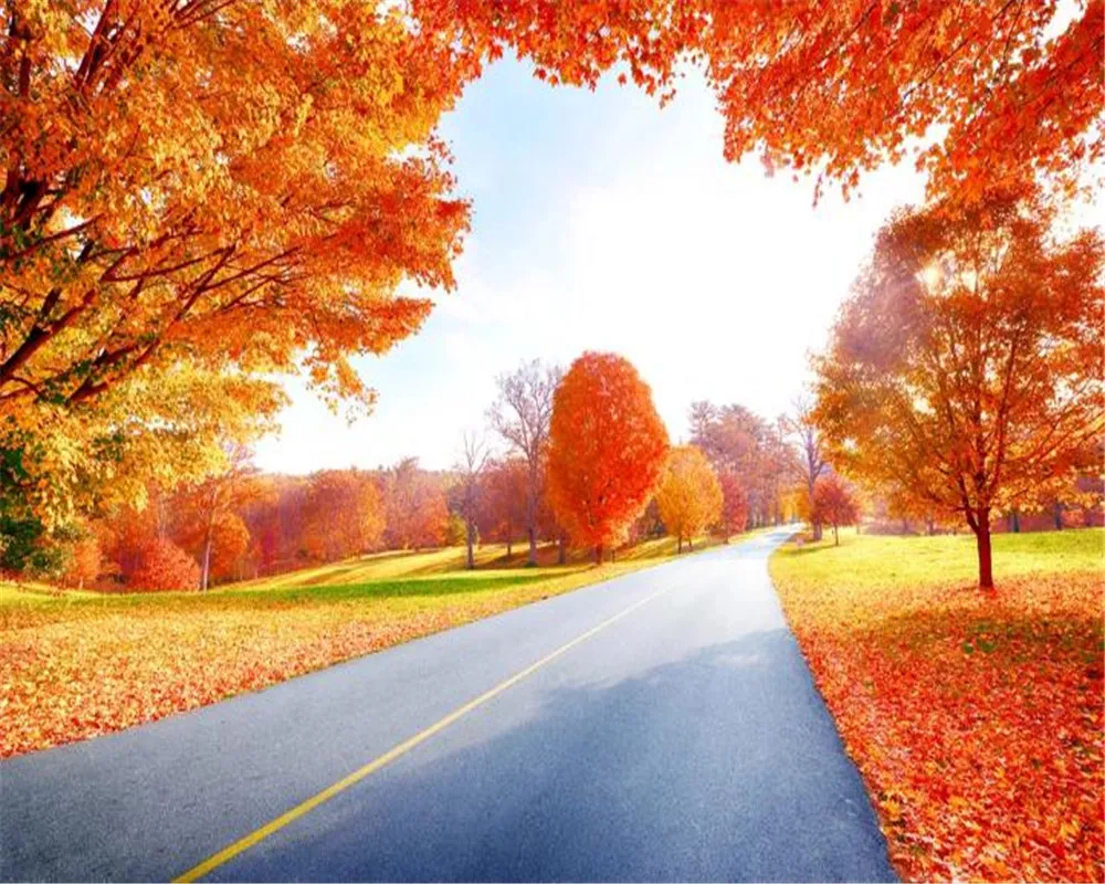 3D Autumn Forest Wallpaper Maple Leaf Scenery, HD Wall Mural, Rustic Countryside Decor, Beautiful Fall Landscape from Dhgate Wallpaper 38.2