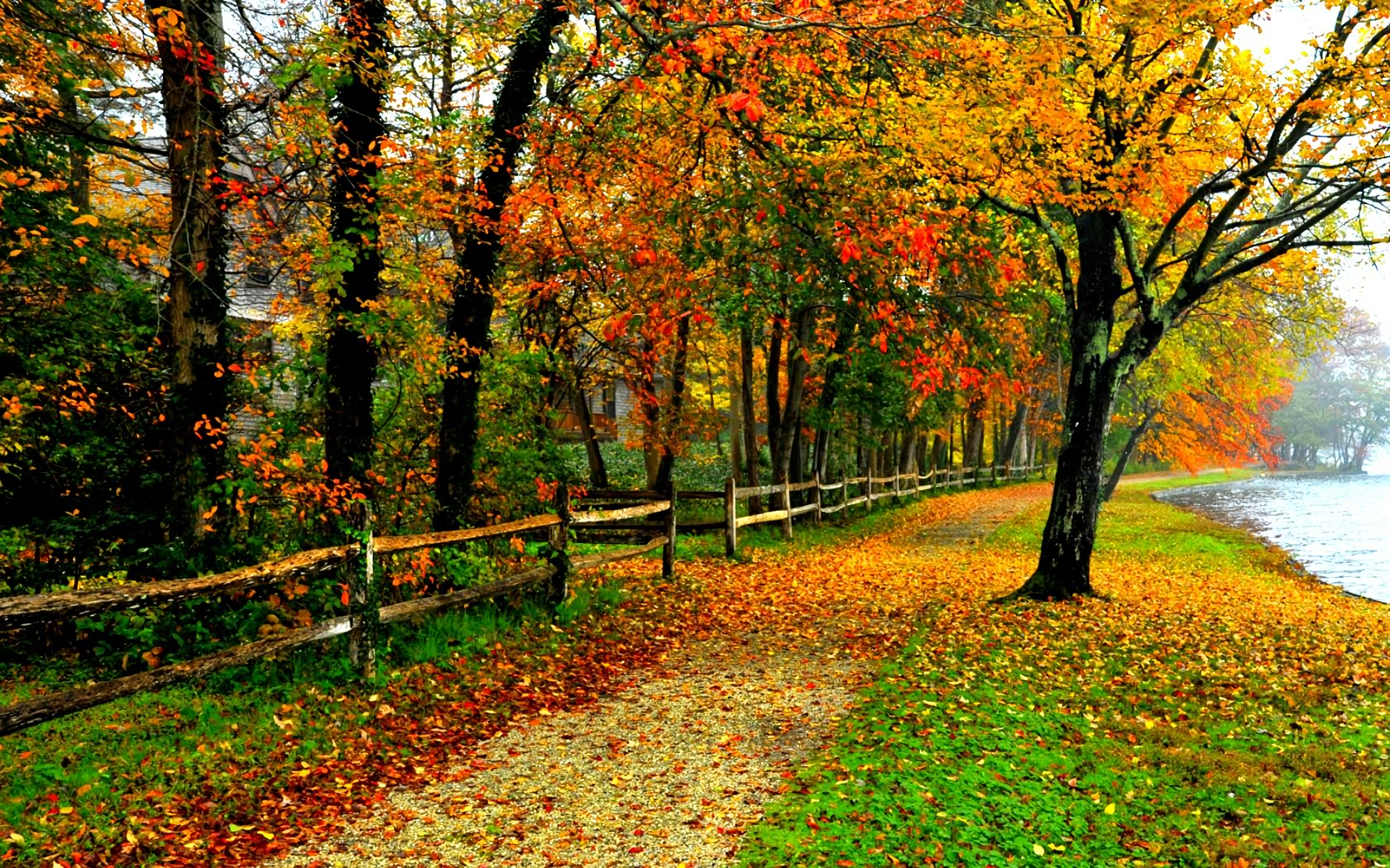 Autumn Pathway: A Serene HD Wallpaper of Nature's Beauty