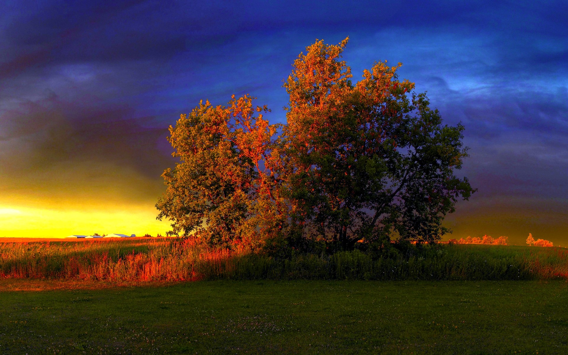 Autumn Sunsets Wallpaper Background