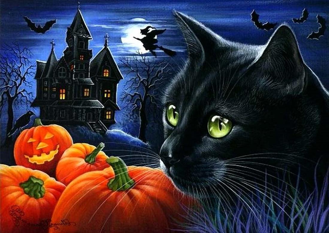 Scary Cat Halloween Wallpaper, HD Scary Cat Halloween Background on WallpaperBat