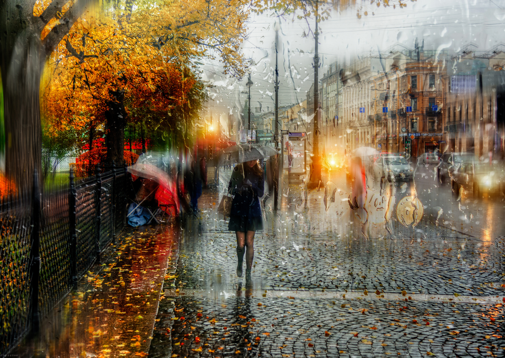 Wallpaper girl, drops, umbrella, Saint Petersburg, Autumn rain for mobile and desktop, section город, resolution 2048x1452