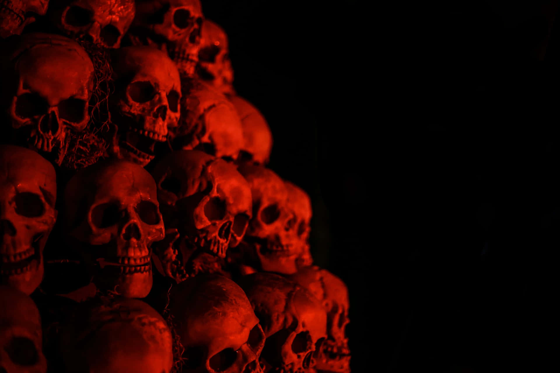 Spooky, bats, black, dark, halloween, holiday, pumpkin, red, scary, skeleton, HD phone wallpaper