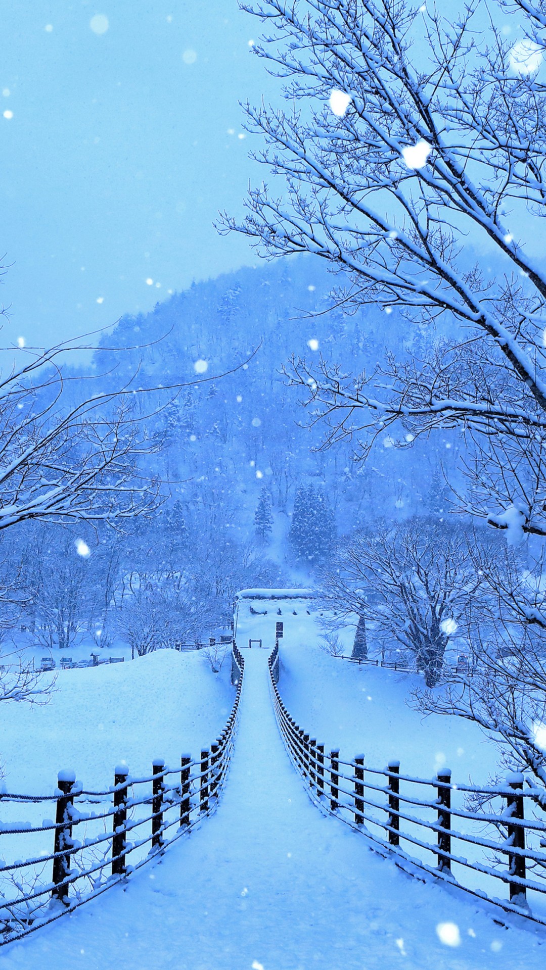 Snow Covered Road And Trees In Winter 4K HD Nature Wallpaper