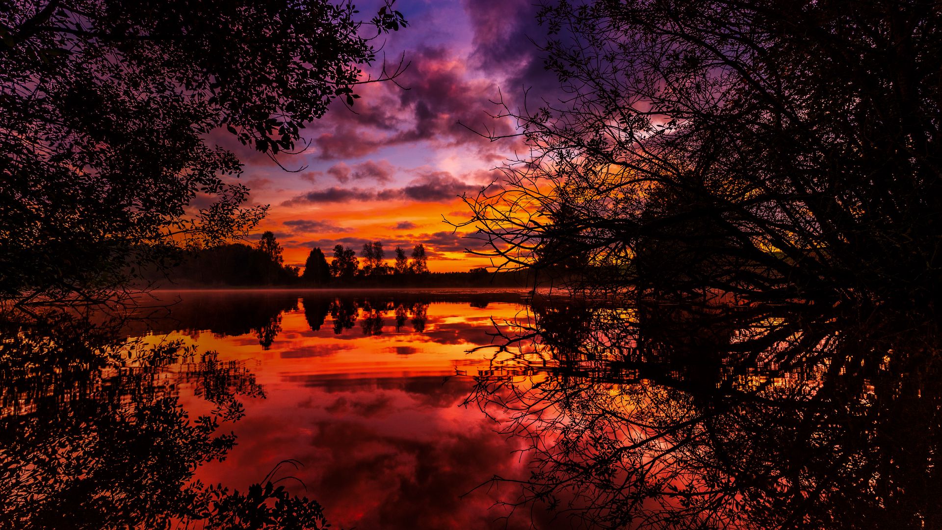 Download wallpaper 1920x1080 sunset, autumn, river, trees full hd, hdtv, fhd, 1080p HD background
